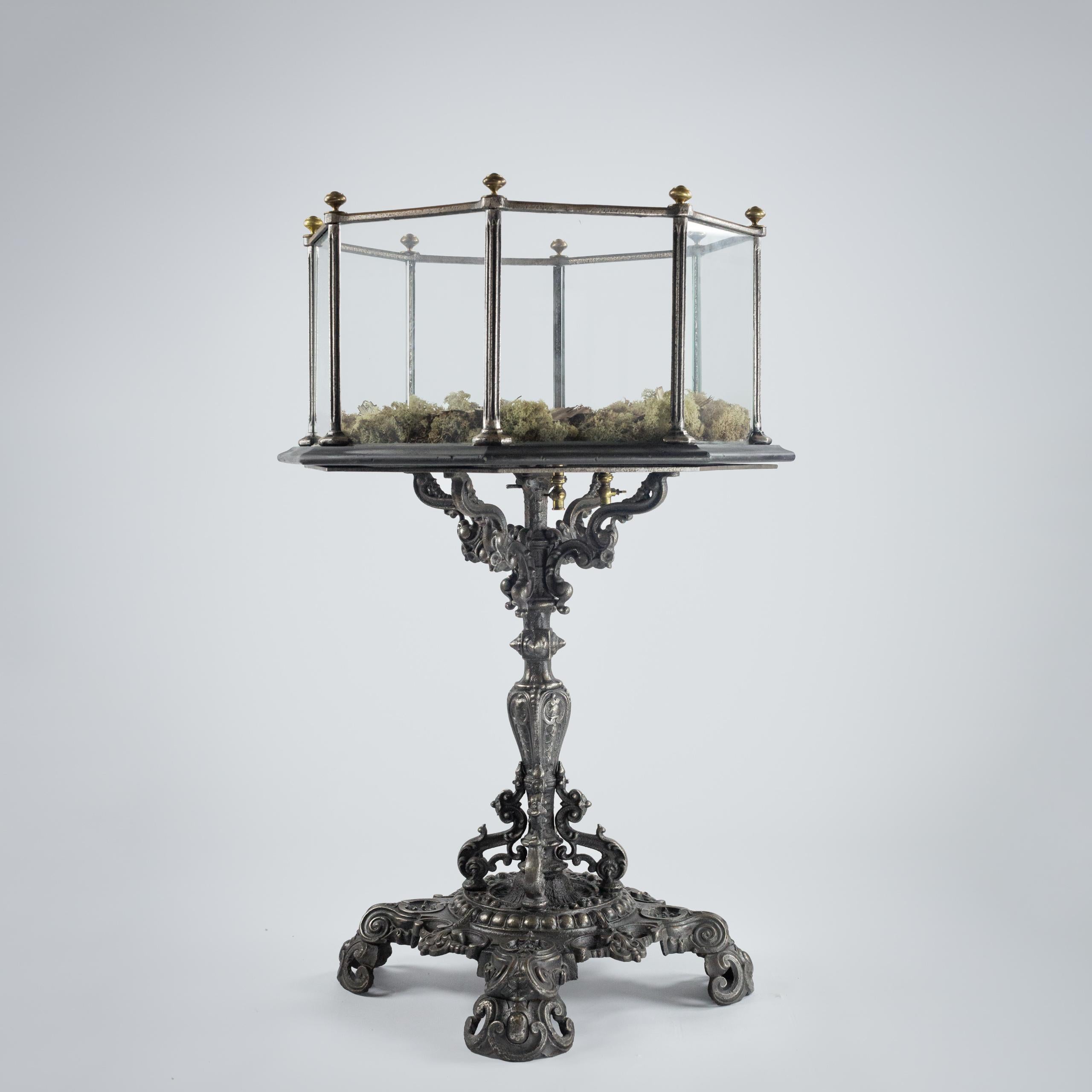 English Extraordinary 19th Century Aquarium