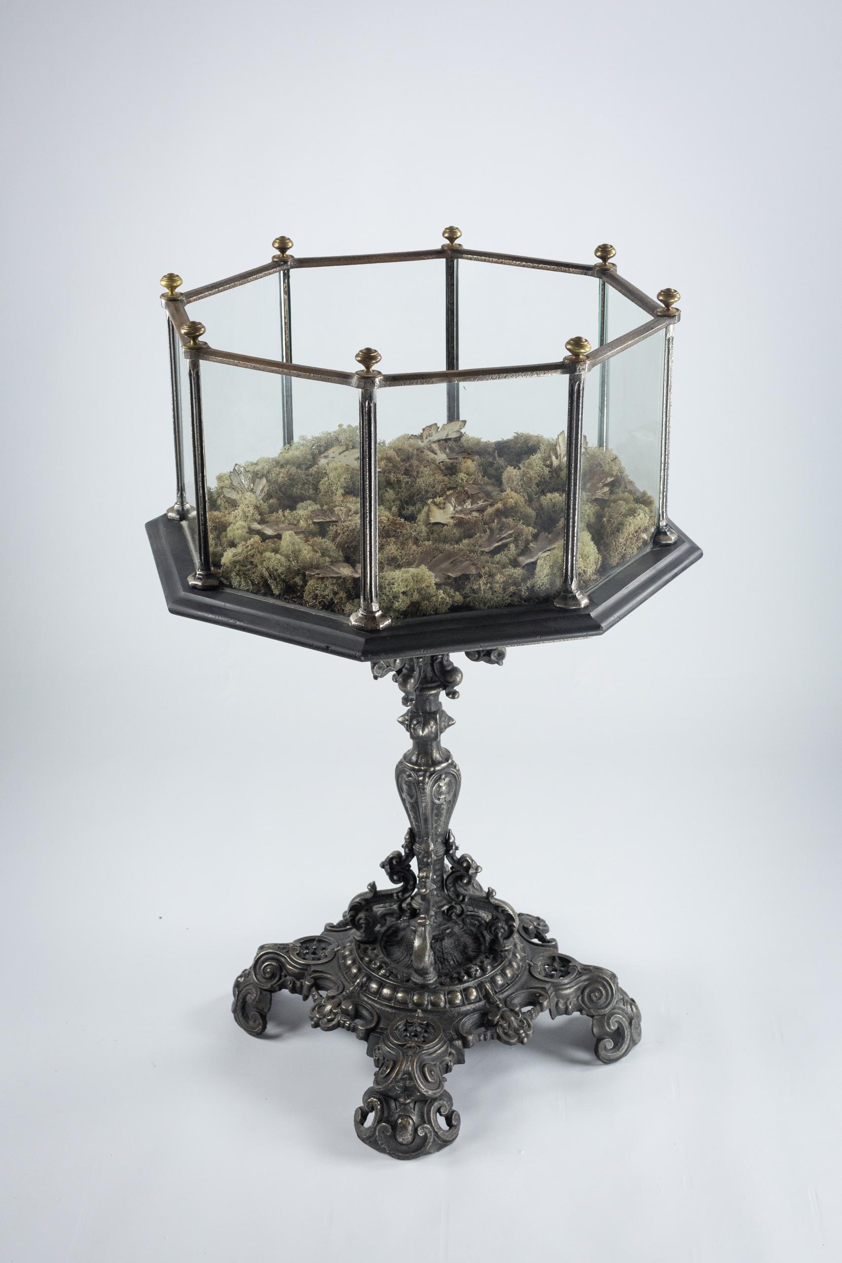 Extraordinary 19th Century Aquarium In Good Condition In Pease pottage, West Sussex