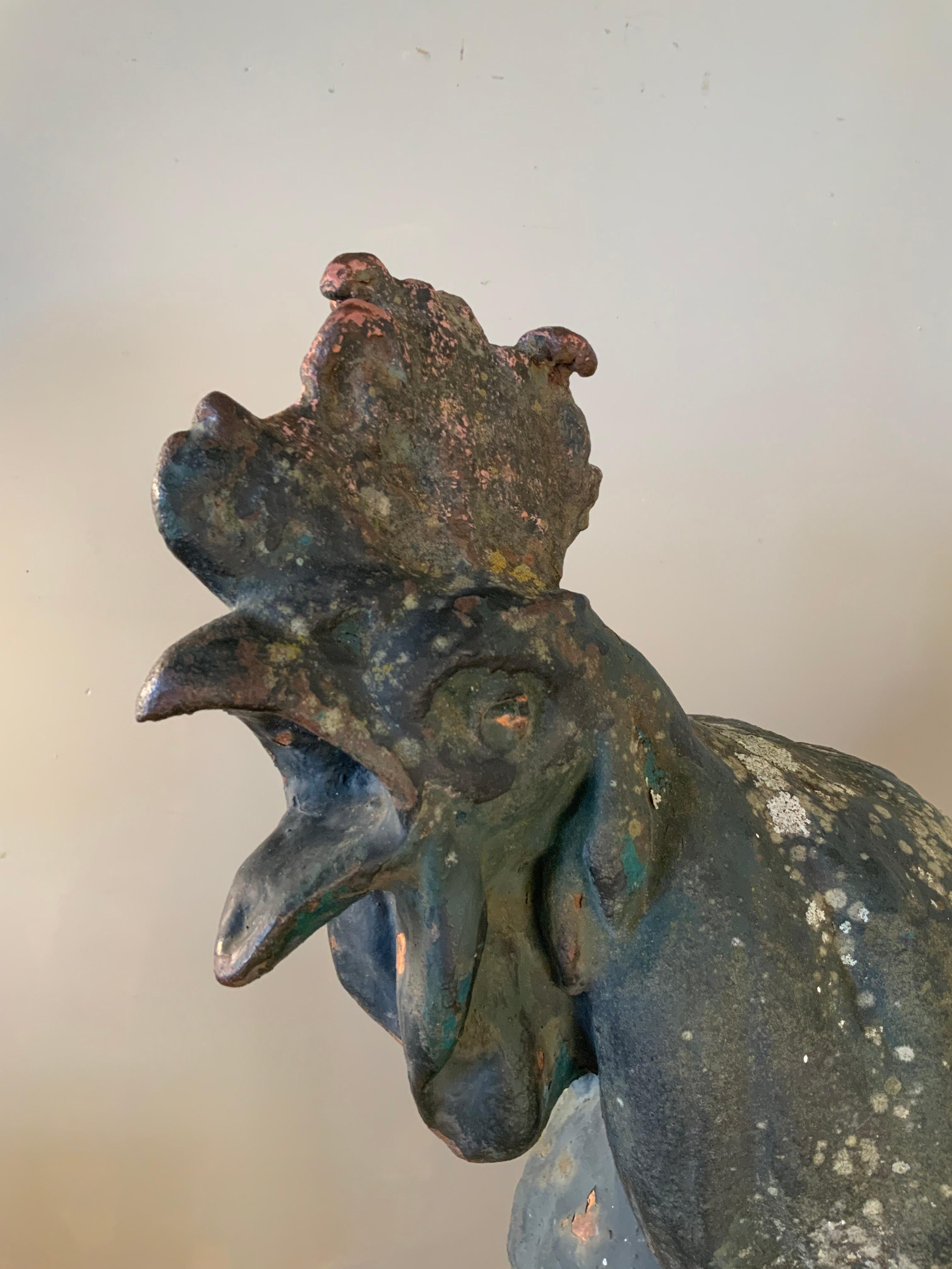 Extraordinary 19th Century French Iron Rooster Sculpture 8