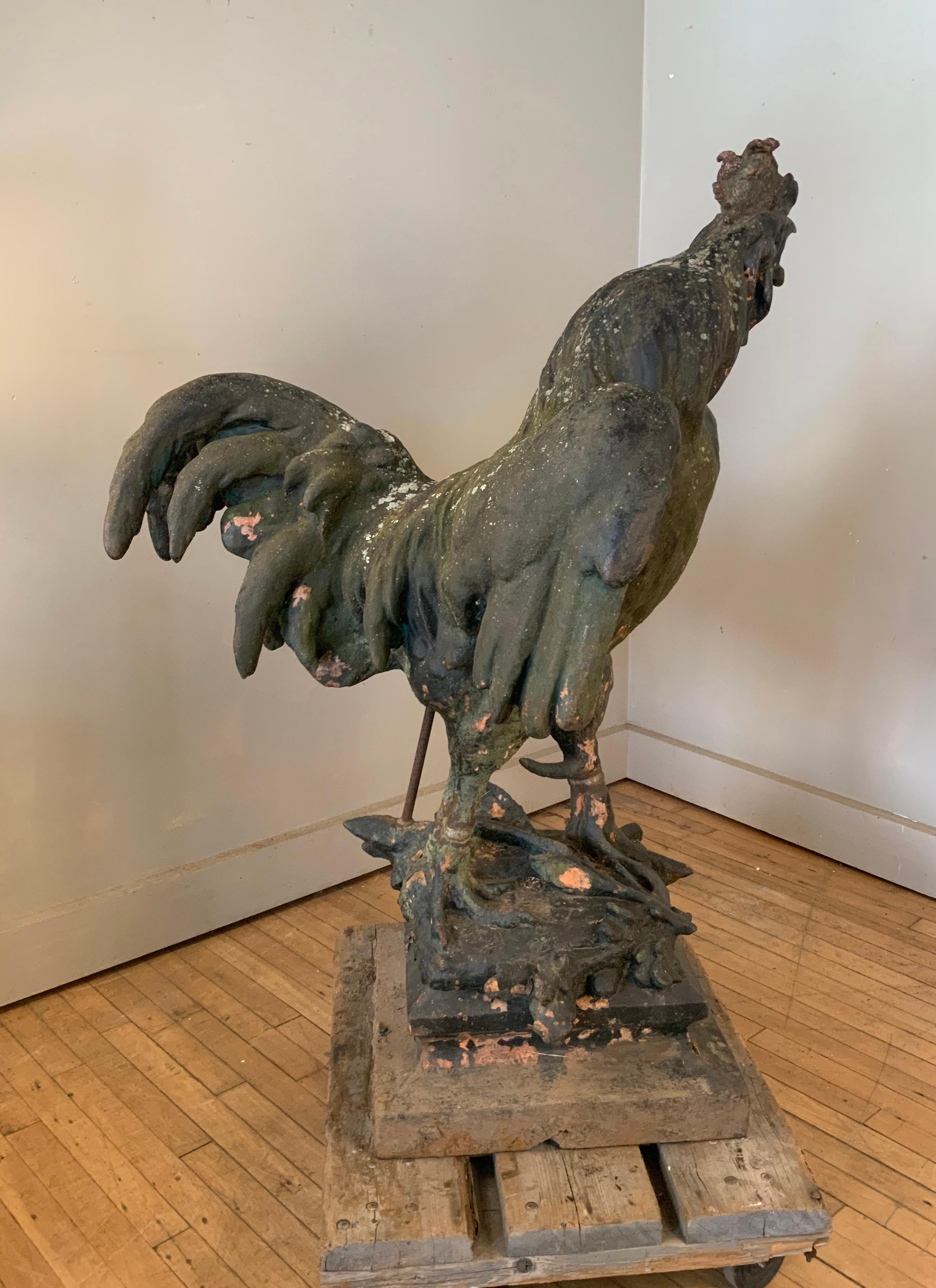 Extraordinary 19th Century French Iron Rooster Sculpture 3