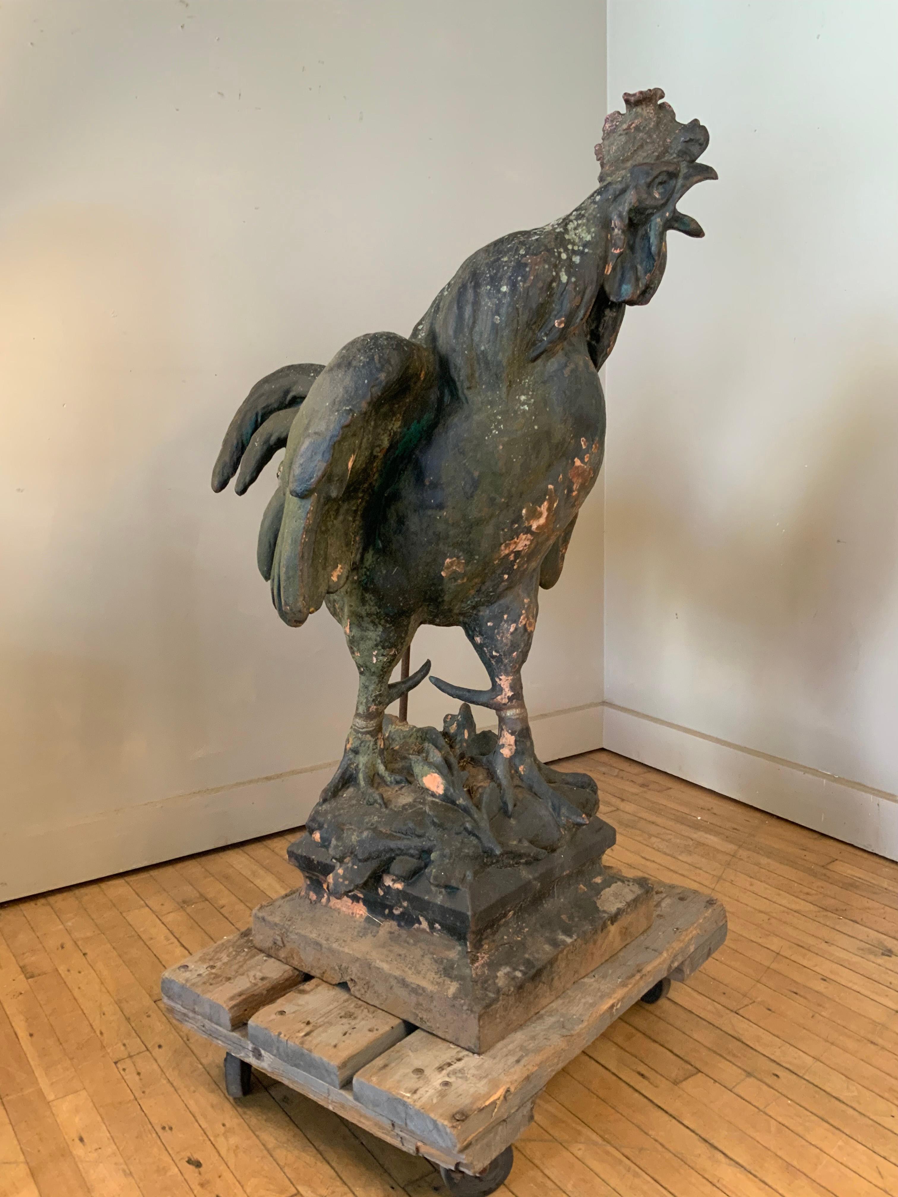 Extraordinary 19th Century French Iron Rooster Sculpture 4
