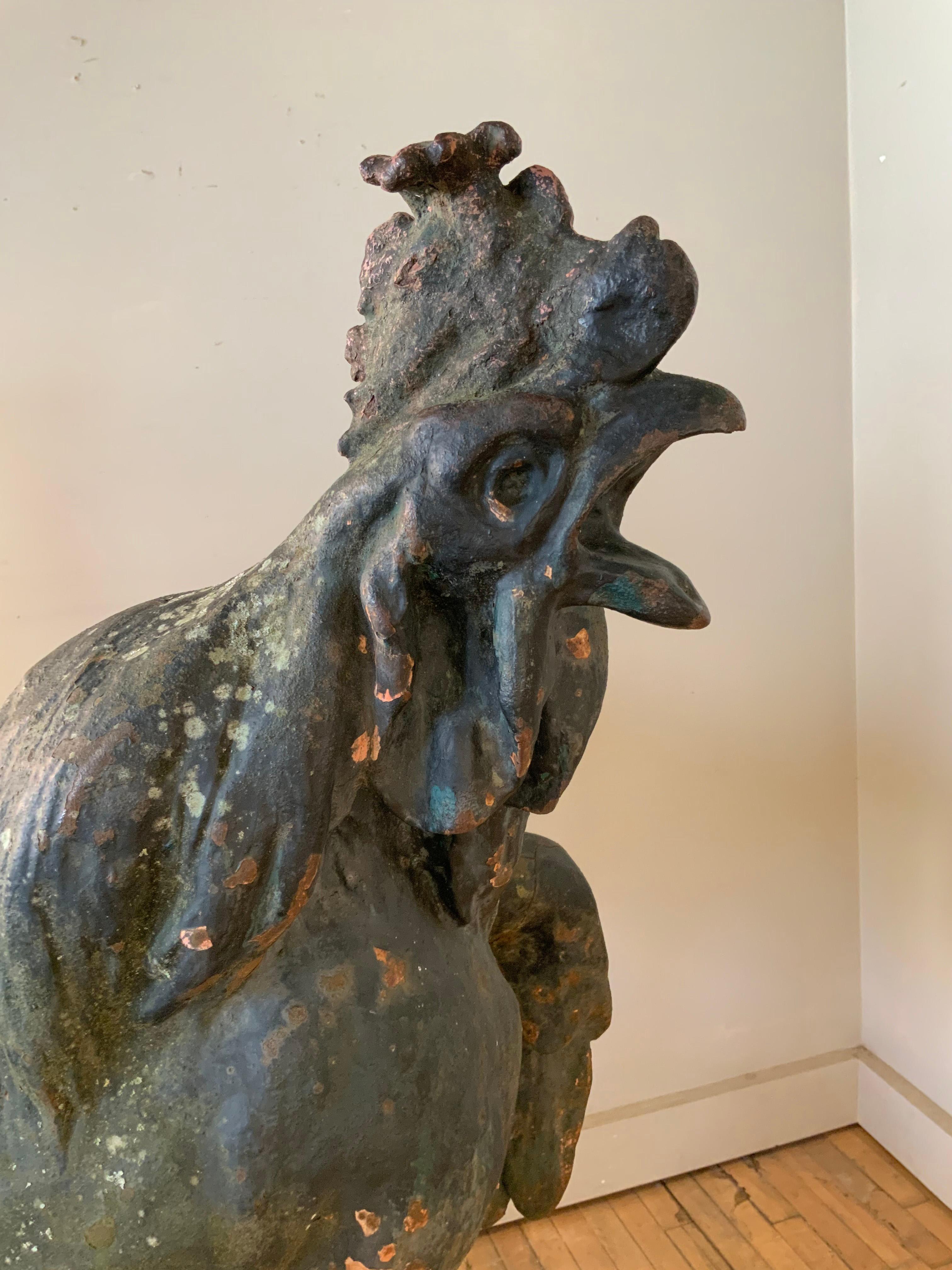 Extraordinary 19th Century French Iron Rooster Sculpture 5