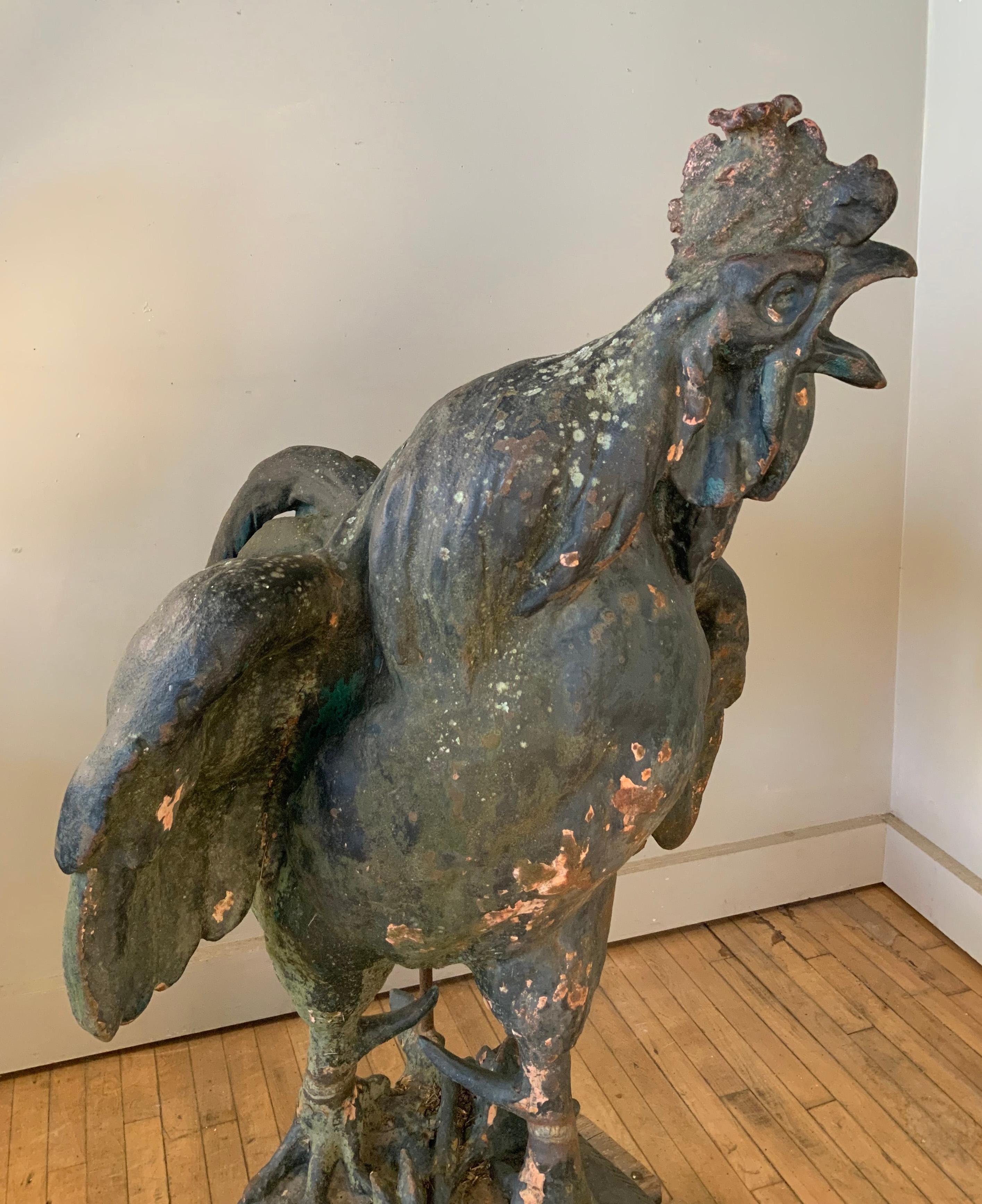 Extraordinary 19th Century French Iron Rooster Sculpture 6