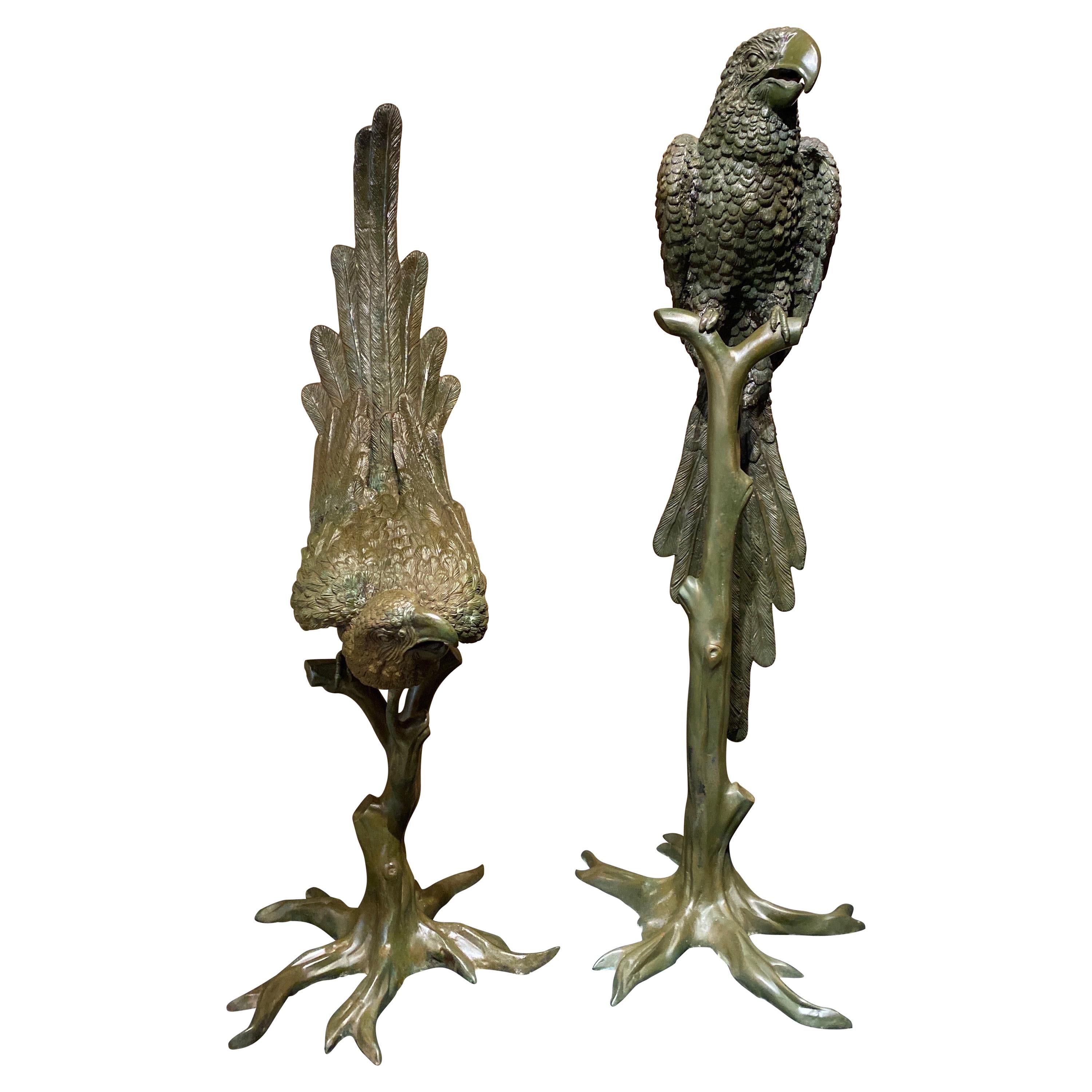 Extraordinary Bronze Pair of Male & Female Parrots on Branches, circa 1900