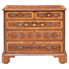 Extraordinary  Ca. 17th-18th C. Century Burl Chest