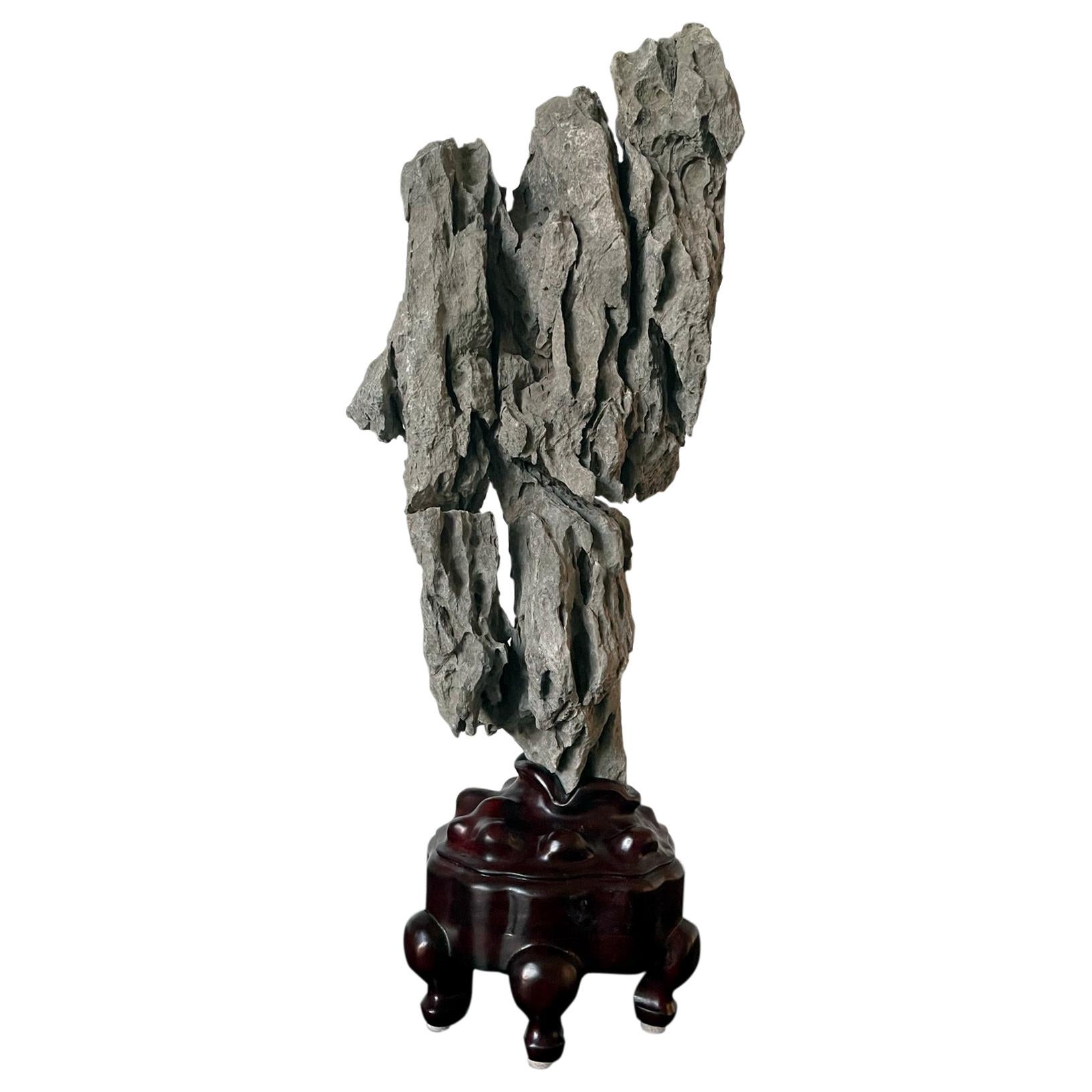 Extraordinary Chinese Scholar Rock Yingde Stone on Stand