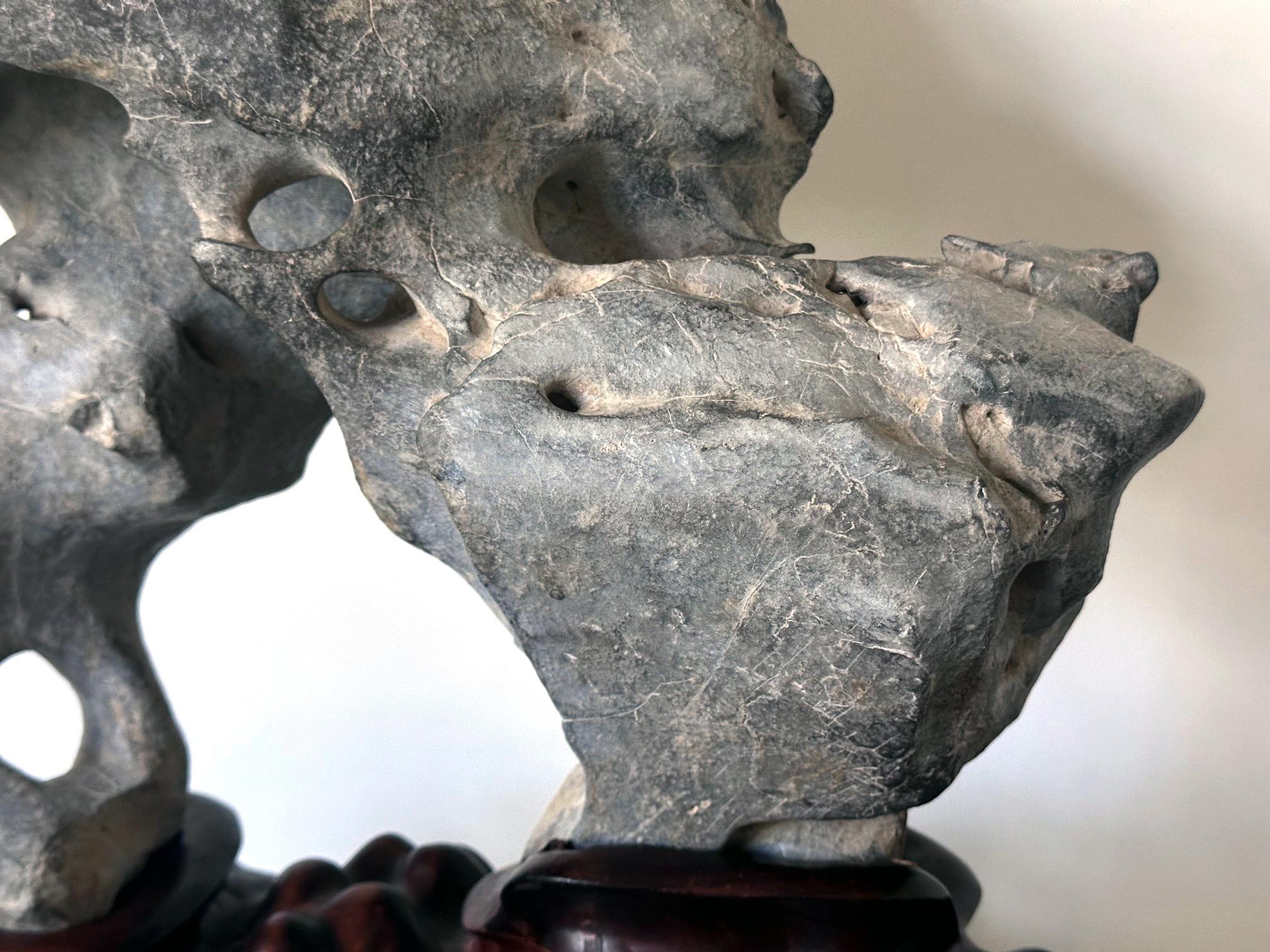 Extraordinary Chinese Taihu Scholar Stone Rare Form on Display Stand For Sale 6