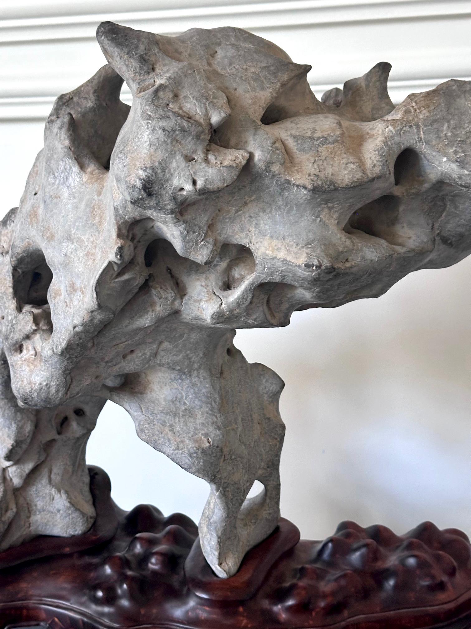 Extraordinary Chinese Taihu Scholar Stone Rare Form on Display Stand For Sale 8