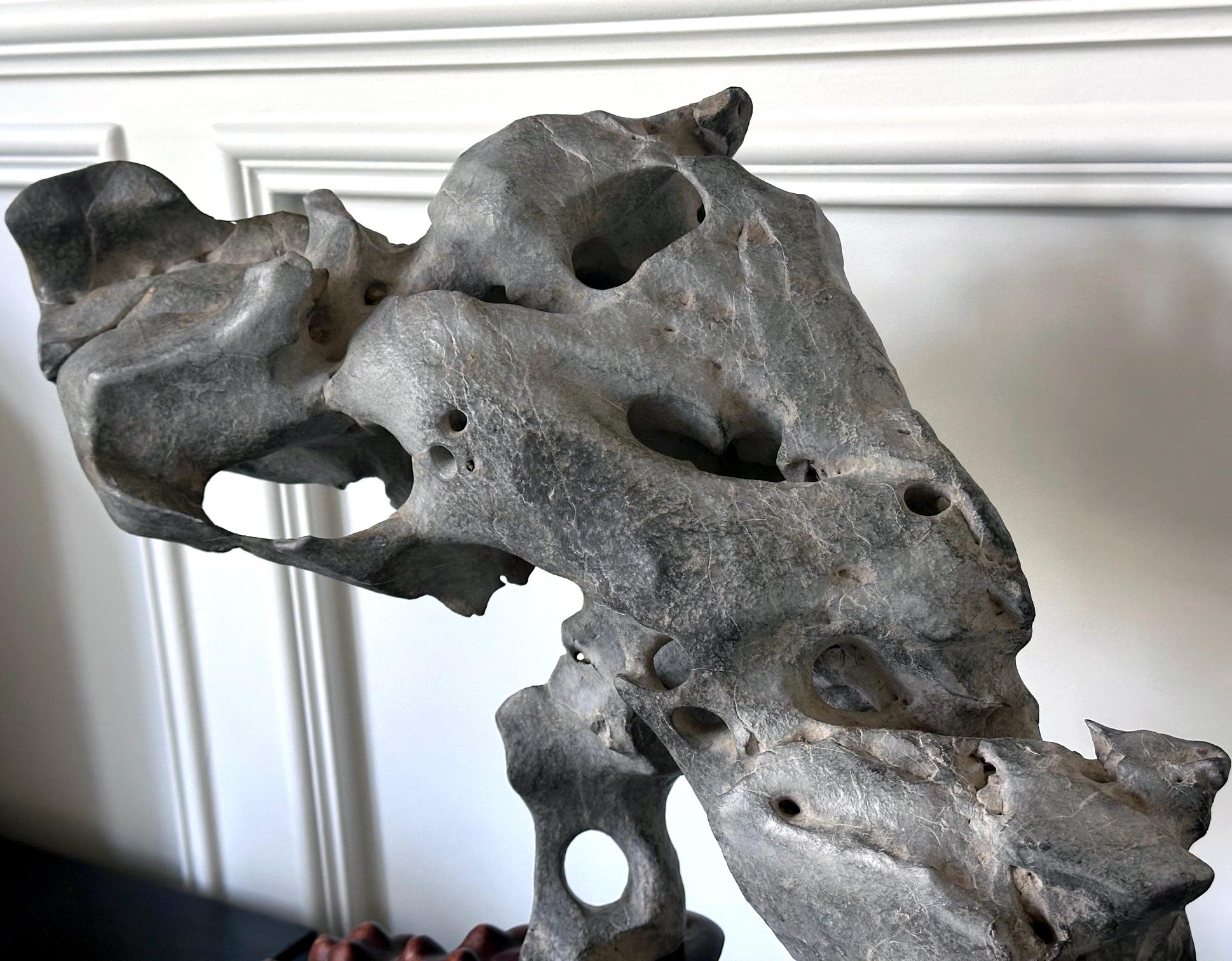 Extraordinary Chinese Taihu Scholar Stone Rare Form on Display Stand For Sale 2