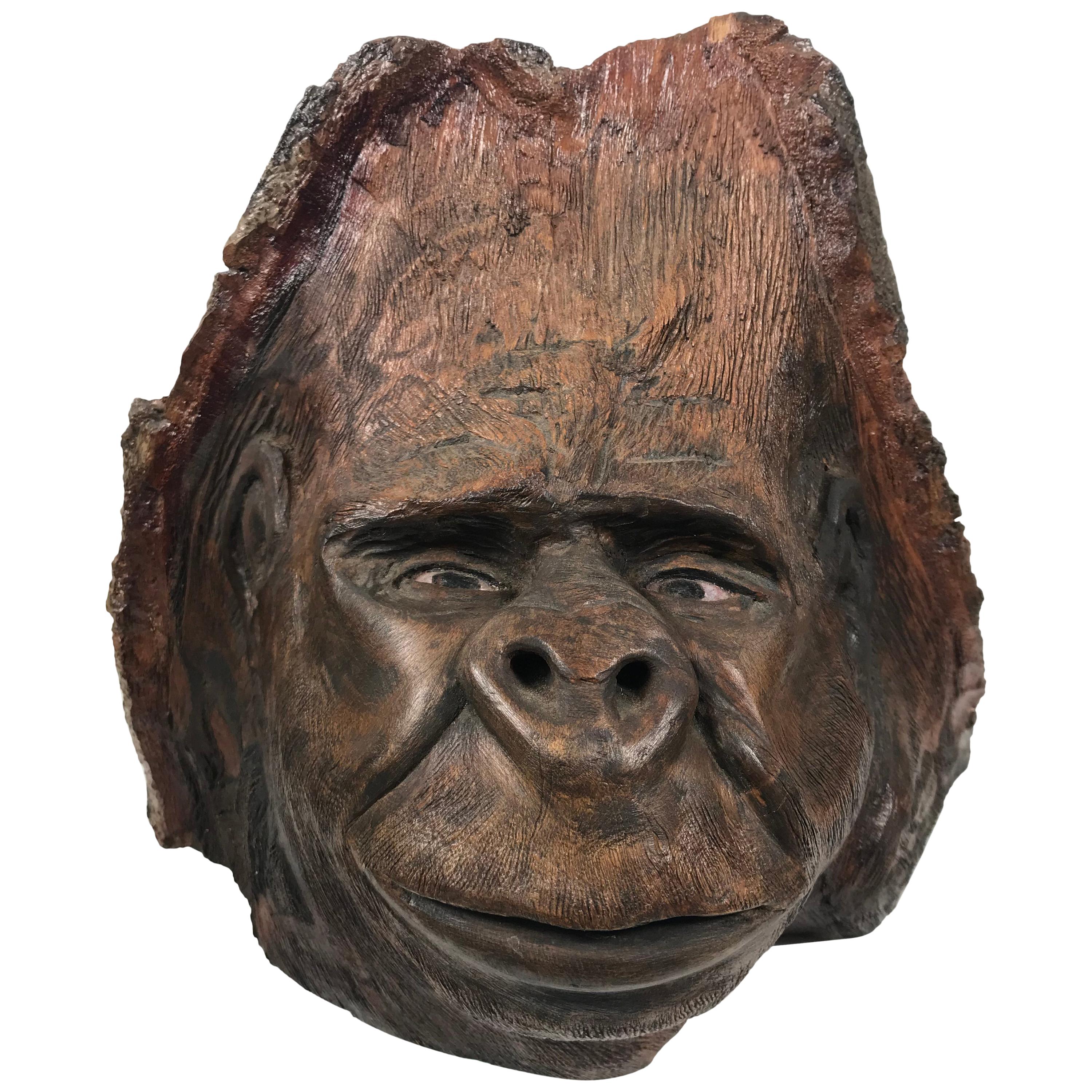 Extraordinary Hand-Carved from Knot of a Tree, Folk Art Sculpture "Gorilla"