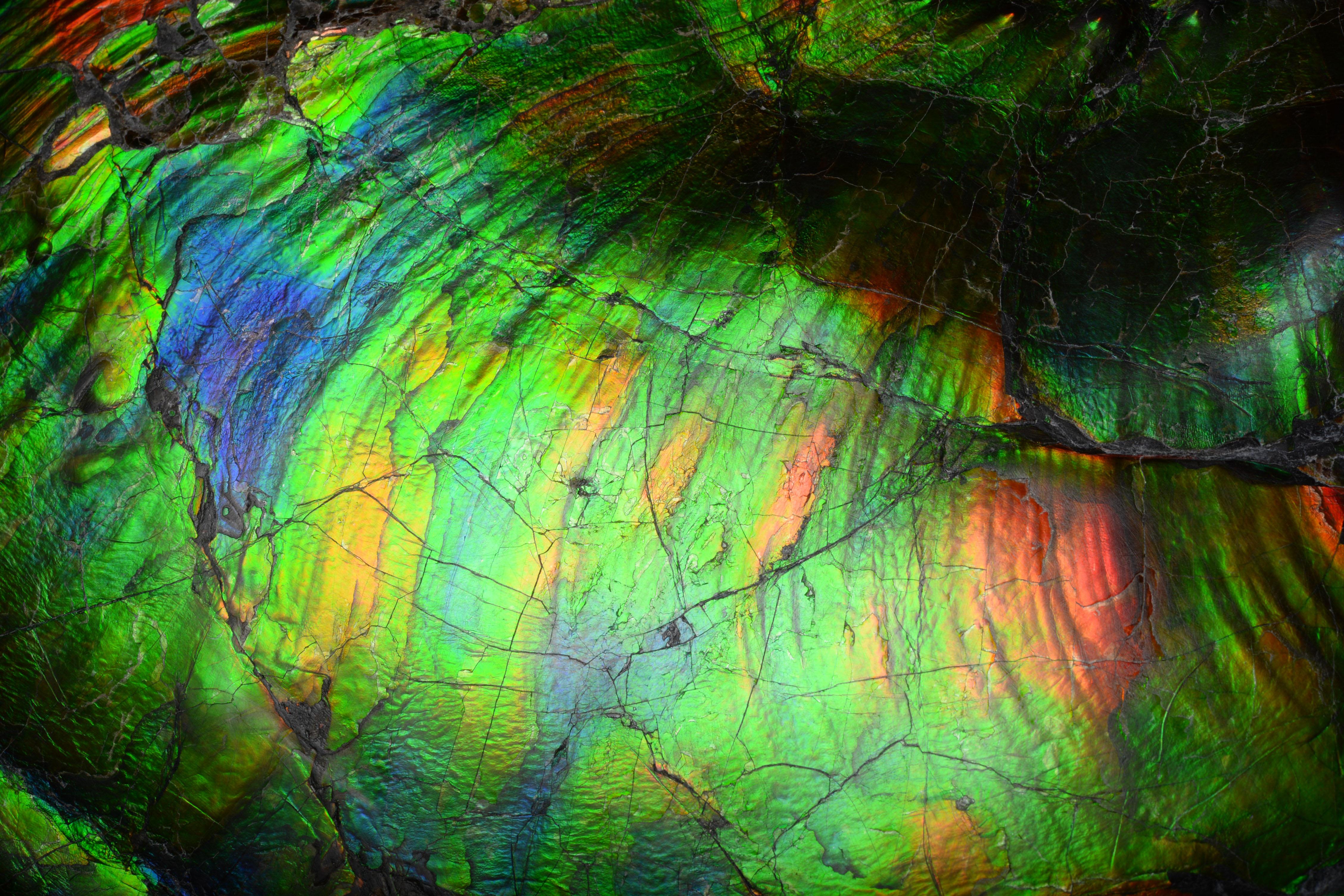 Extraordinary Giant Iridescent Ammonite Fossil 2