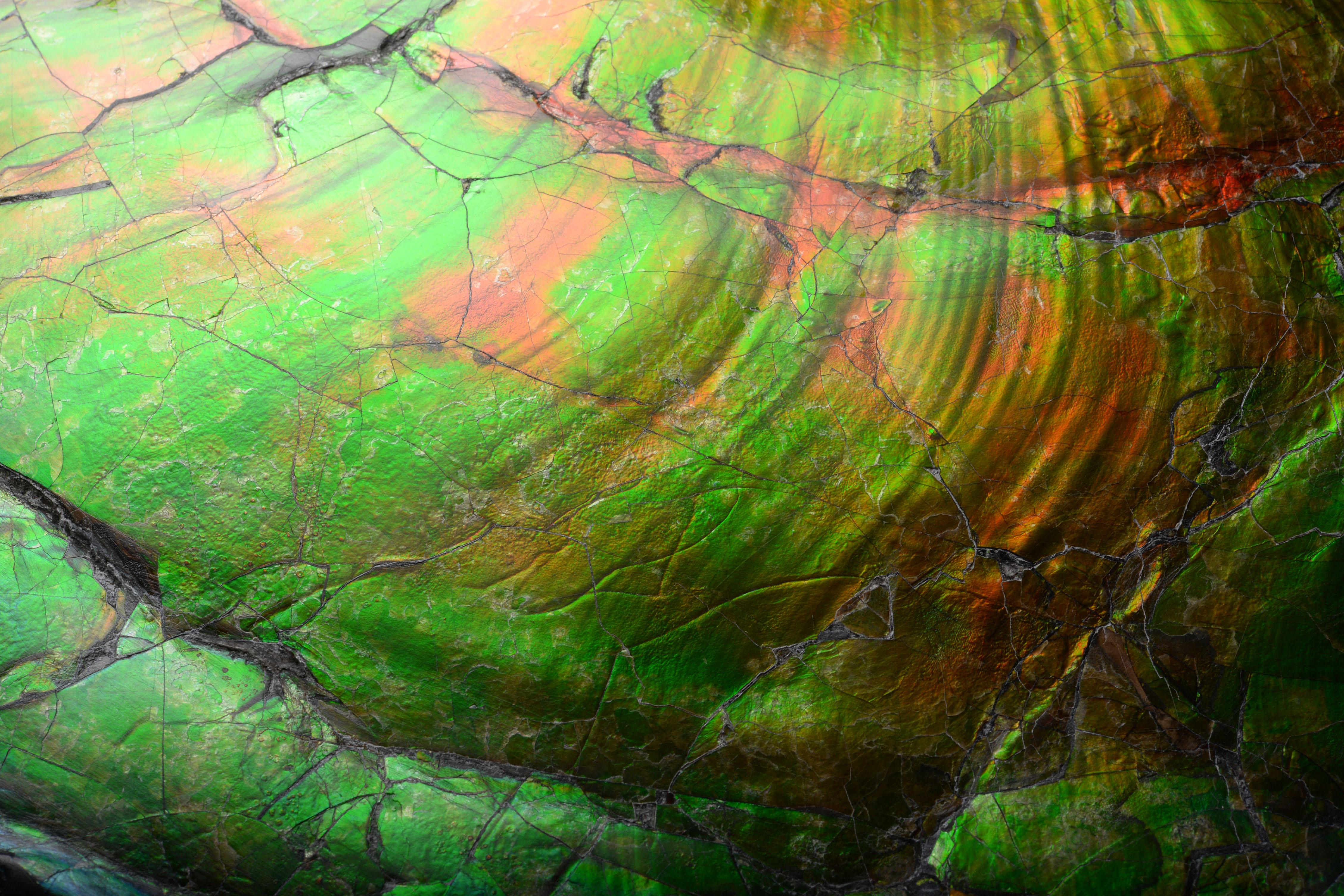 Extraordinary Giant Iridescent Ammonite Fossil In Excellent Condition In London, GB