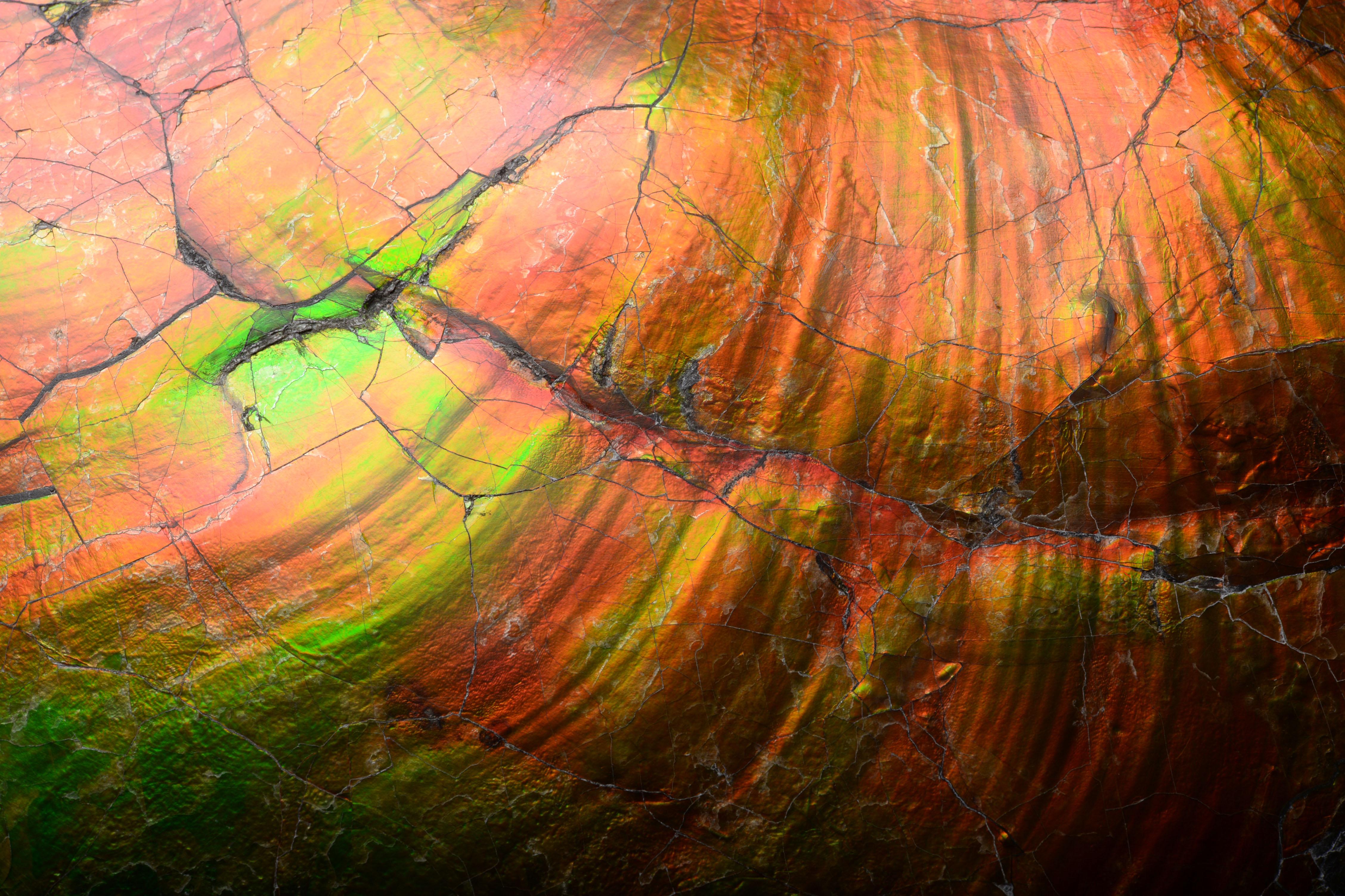 18th Century and Earlier Extraordinary Giant Iridescent Ammonite Fossil