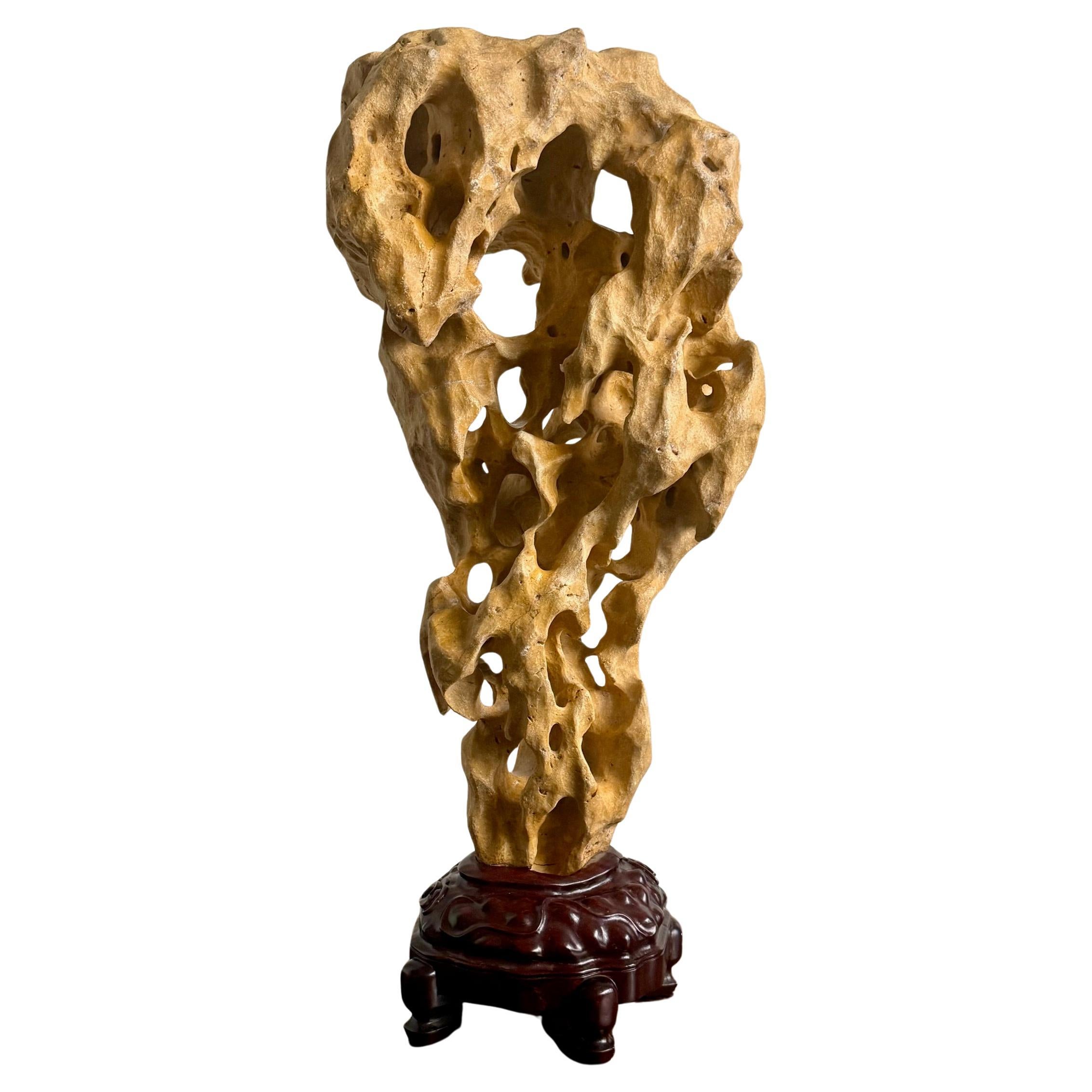 Extraordinary Large Chinese Scholar Rock Yellow Taihu Stone on Wood Stand