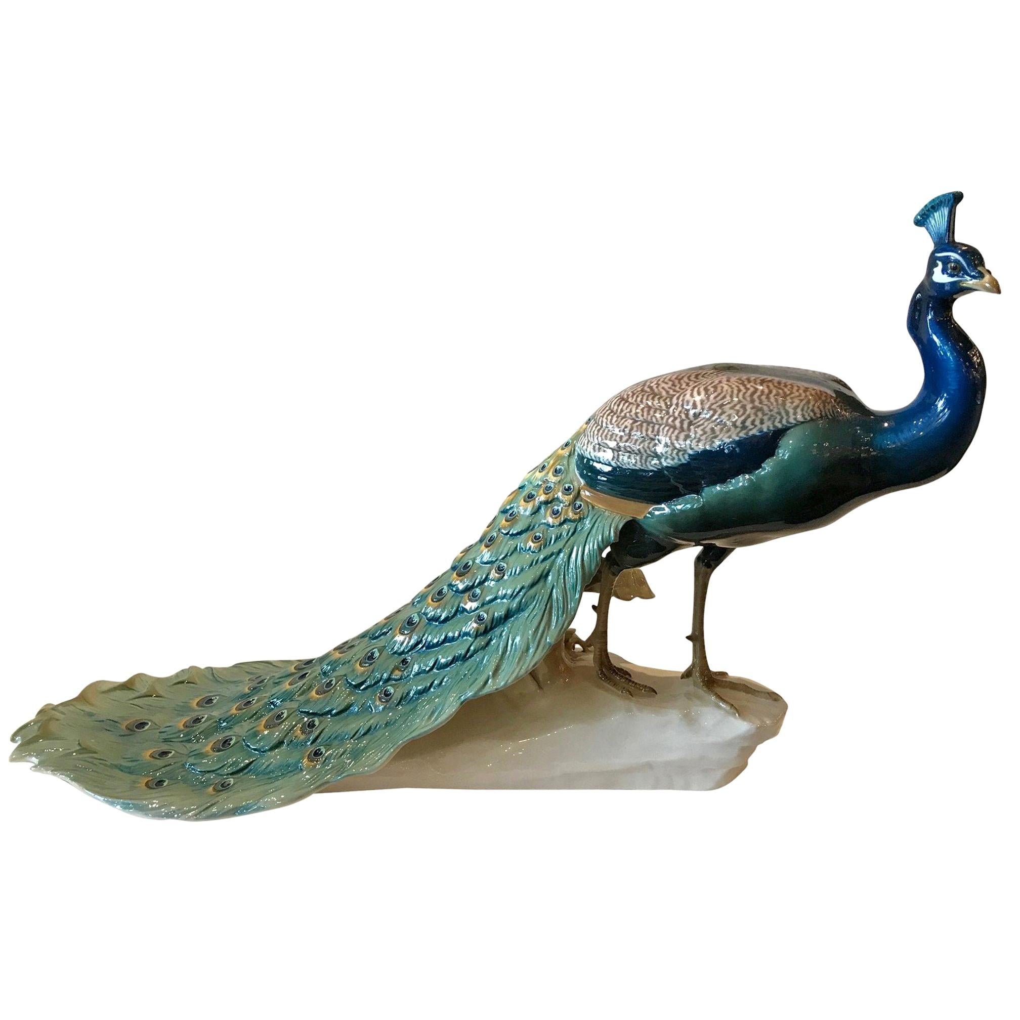 Extraordinary Nymphenburg Hand Painted Porcelain Peacock, Signed and Dated 1912 For Sale