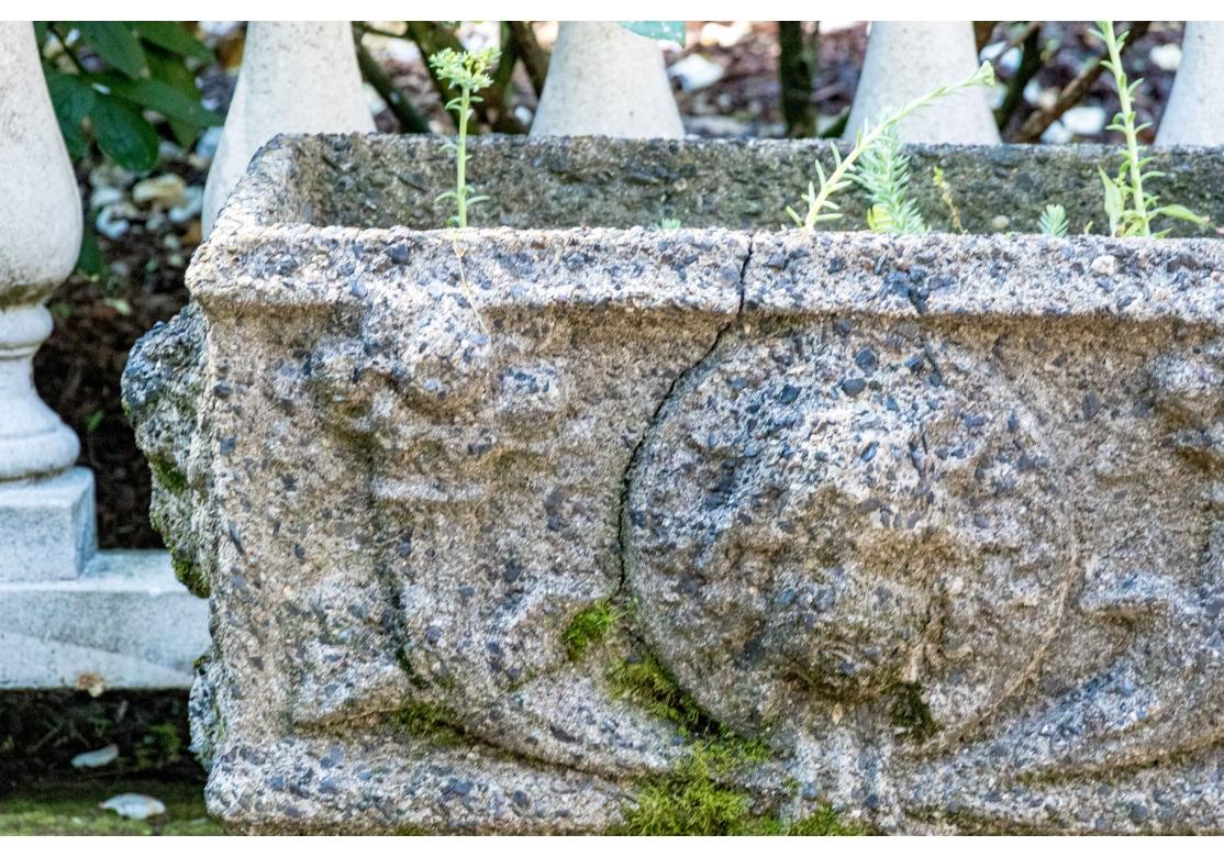 XIXe siècle Extraordinaire paire de jardinières anciennes en pierre moulée en vente