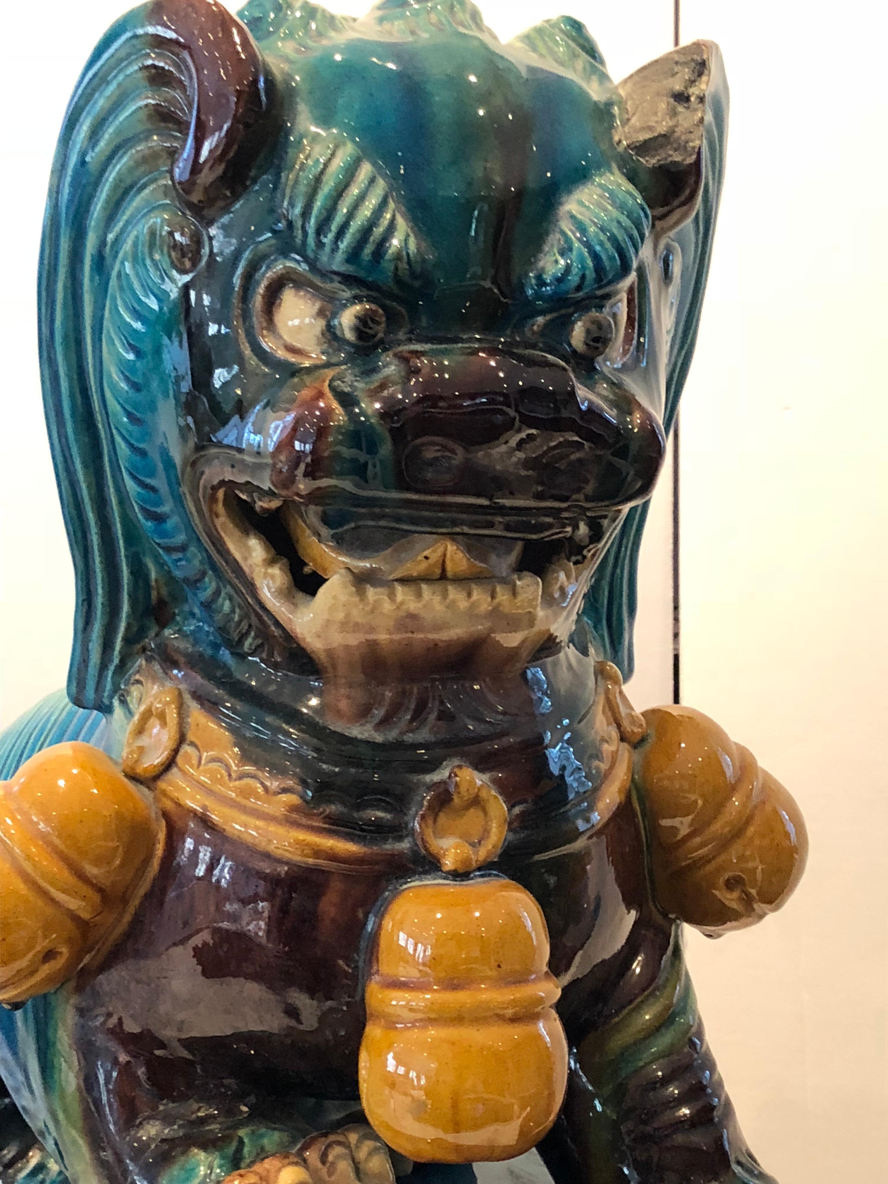 Extraordinary Pair of Chinese Foo Dogs Glazed in Turquoise and Brown 3