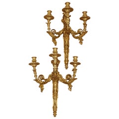 Extraordinary Pair of Large 19th Century French Wall Sconces