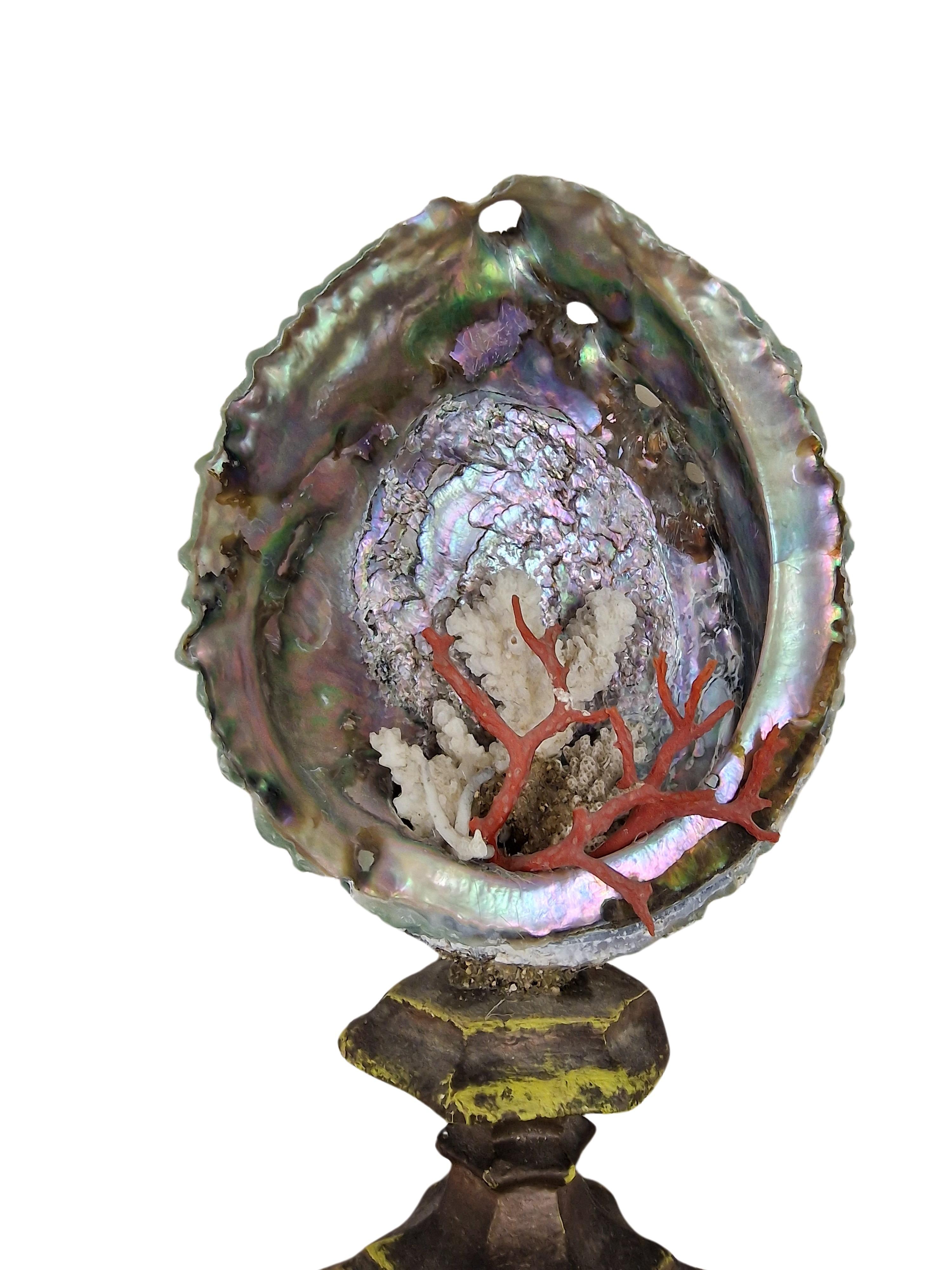 Extraordinary shell coral, cabinet piece collector's item, mid-century, Italy In Good Condition In Wien, AT