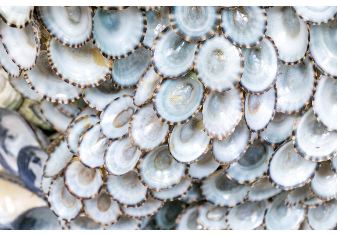 Extraordinary Shell Covered Neptune Figural Sculpture By Anne Jayson 1