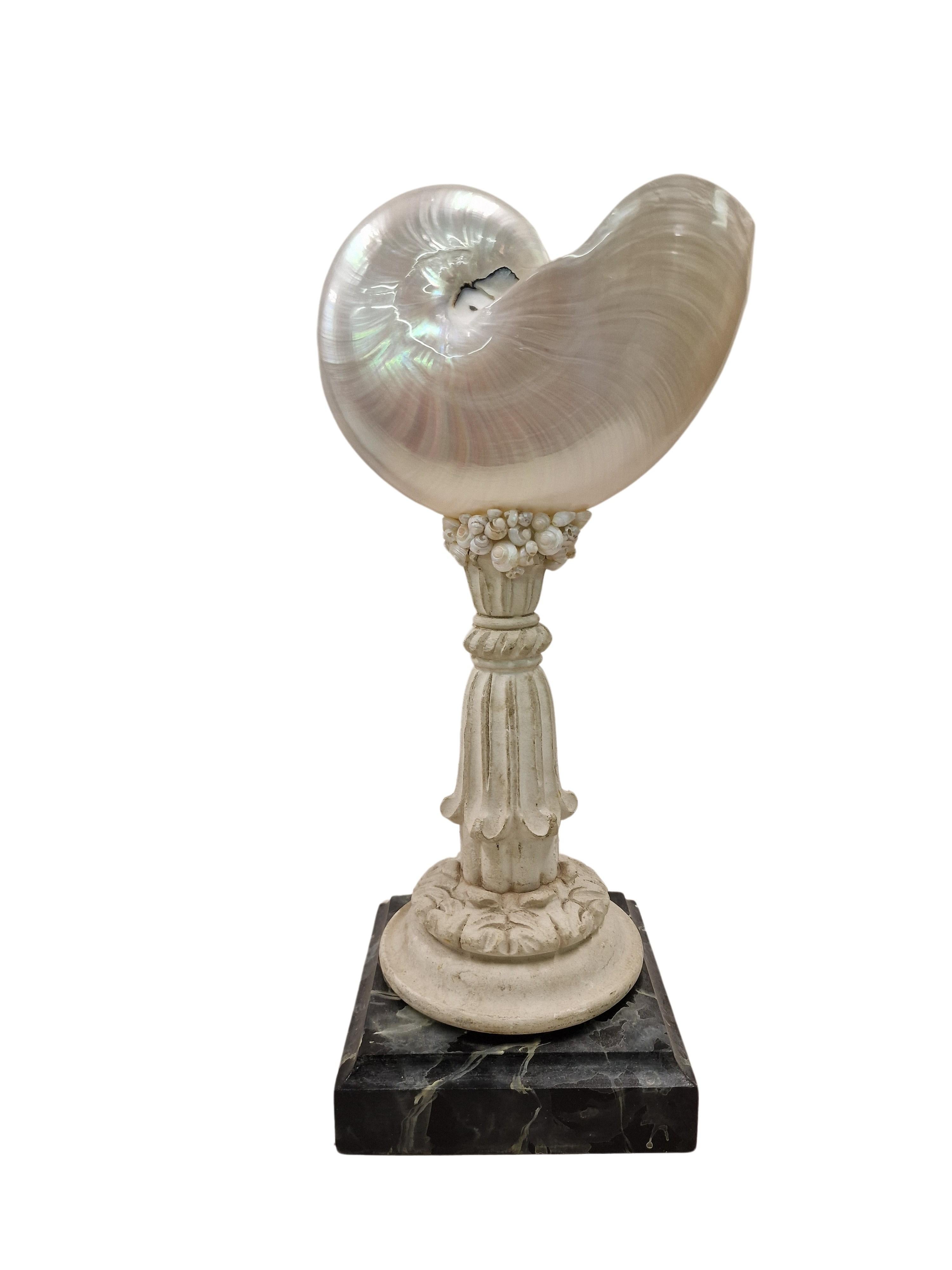 Mid-Century Modern Extraordinary shell Nautilus, cabinet piece collector's item, mid-century, Italy