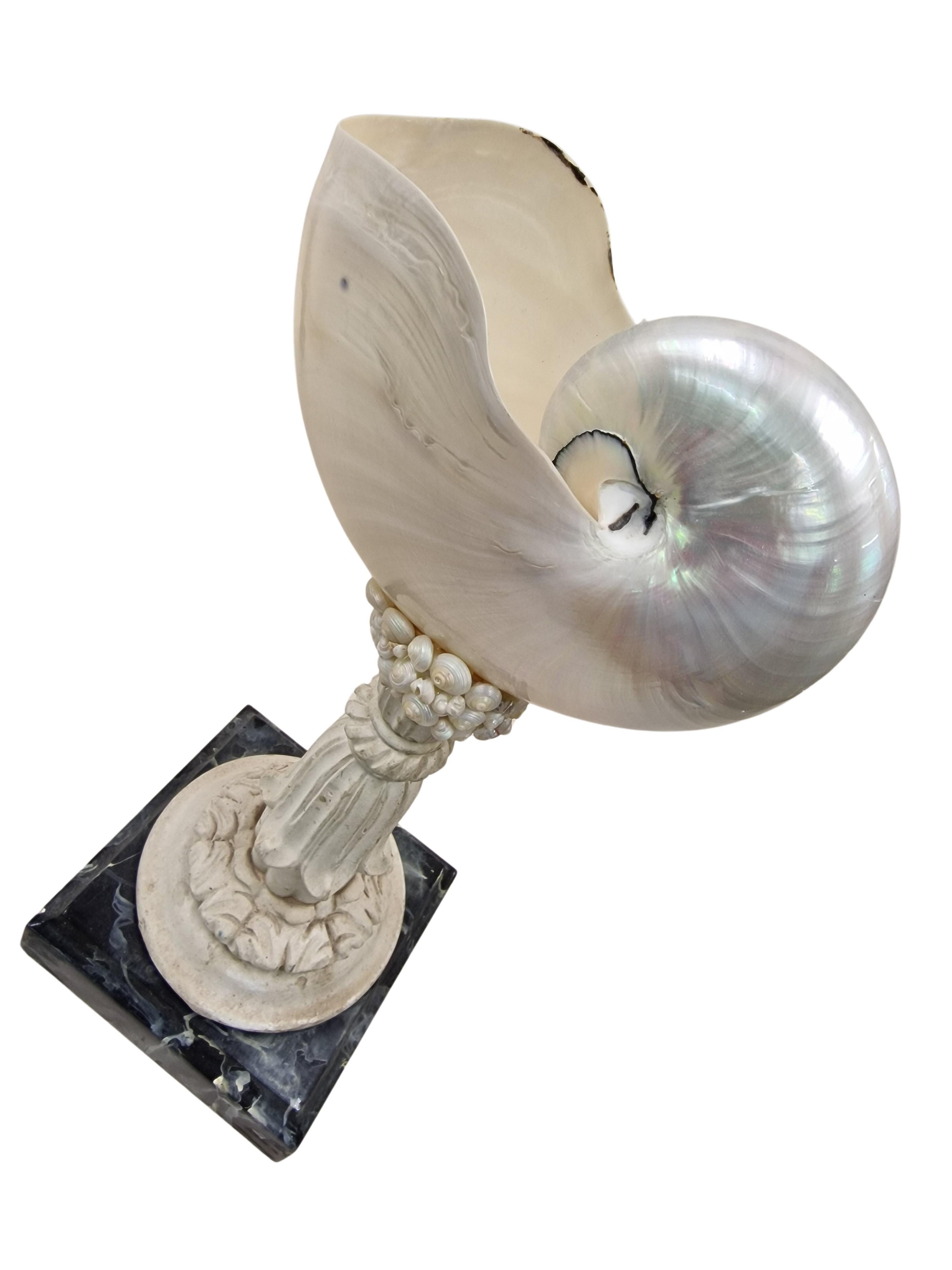 Extraordinary shell Nautilus, cabinet piece collector's item, mid-century, Italy In Good Condition In Wien, AT