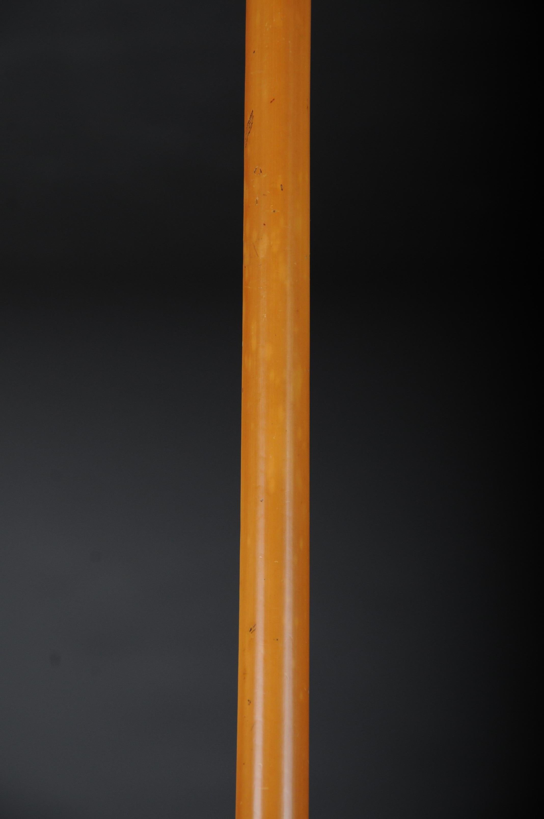walking cane with horn and mirror