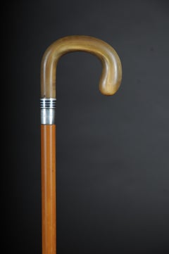 Extraordinary Walking Stick Horn Handle Silver