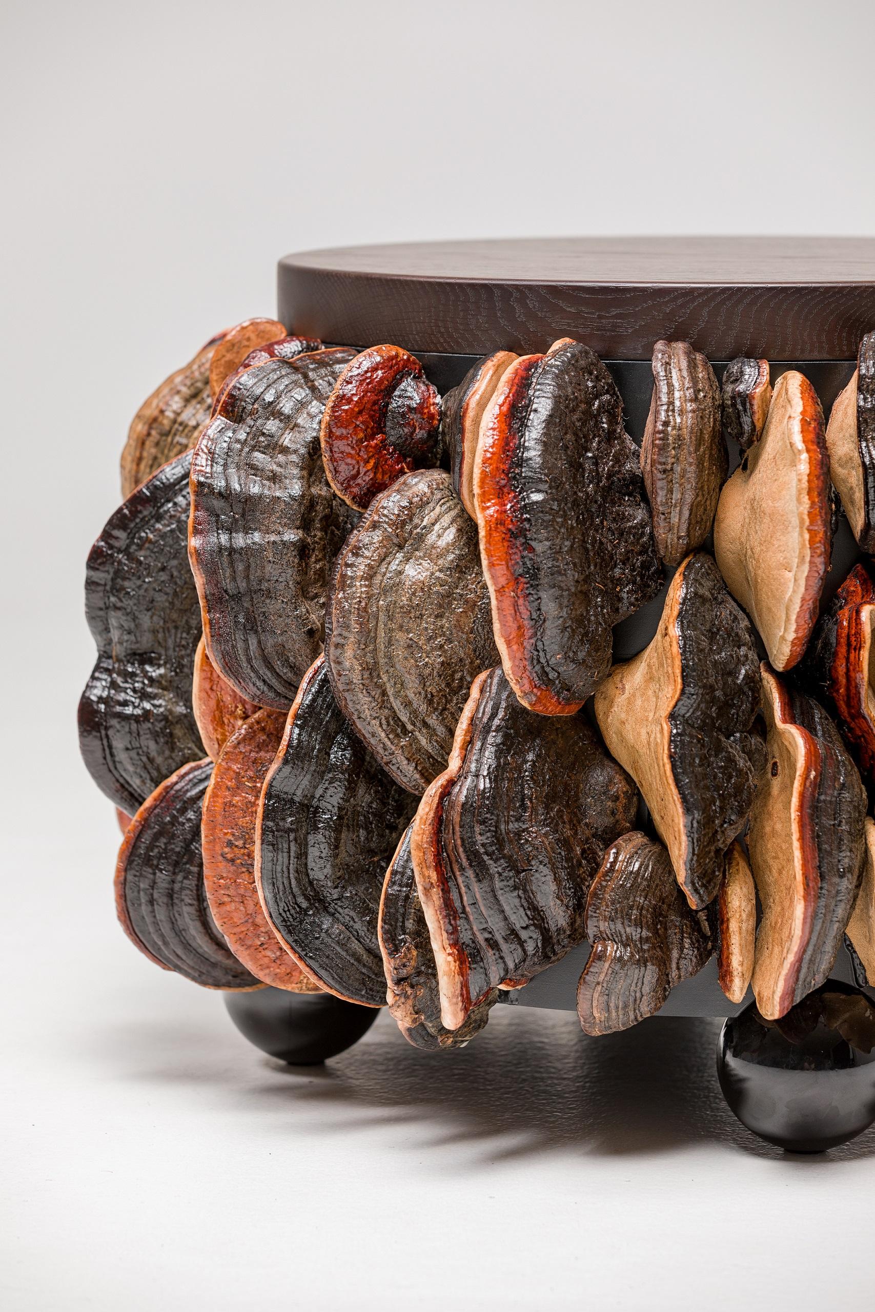 Ukrainian Extravagant Highend Terracotta-Brown Center Table, Collection Mushrooms For Sale