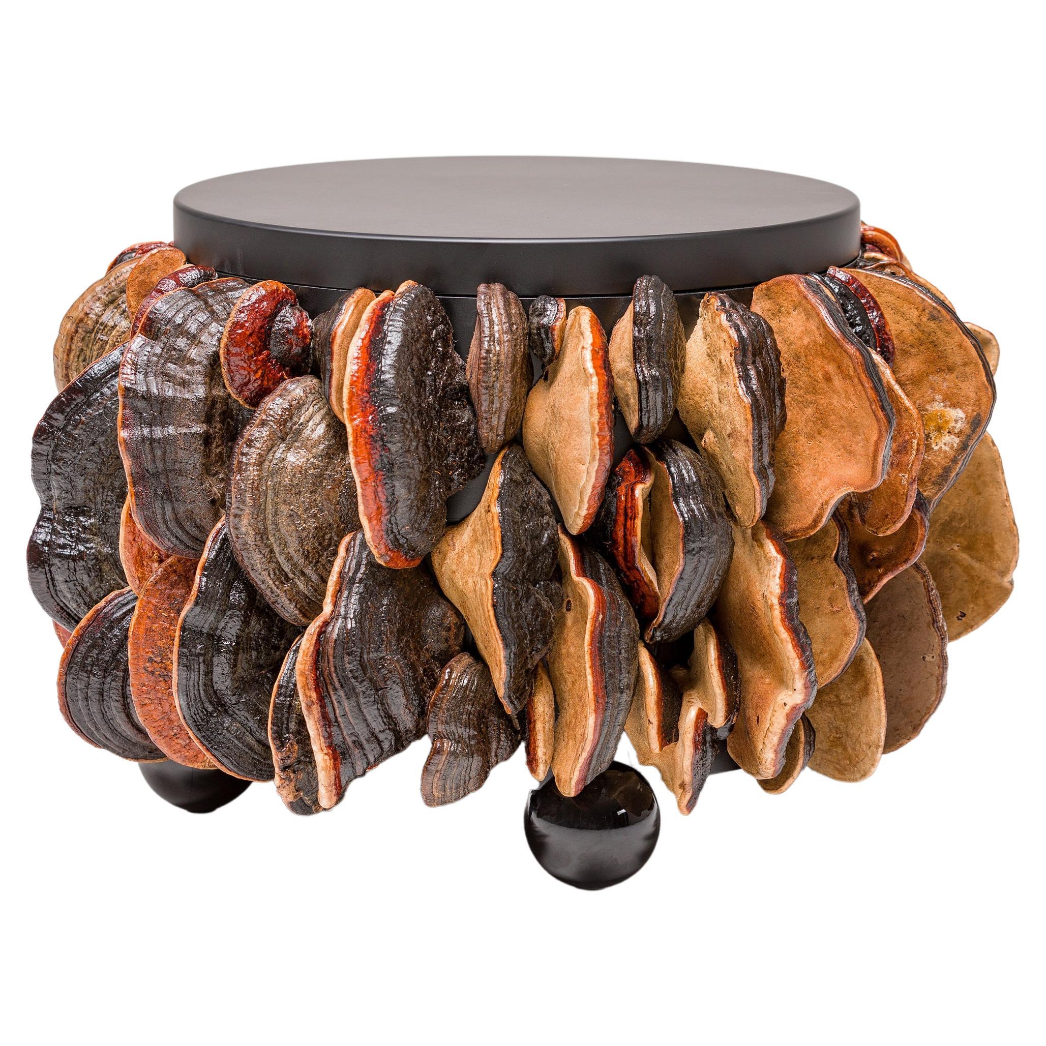 Extravagant centre de table haut de gamme en terre cuite marron, Collection Mushrooms
