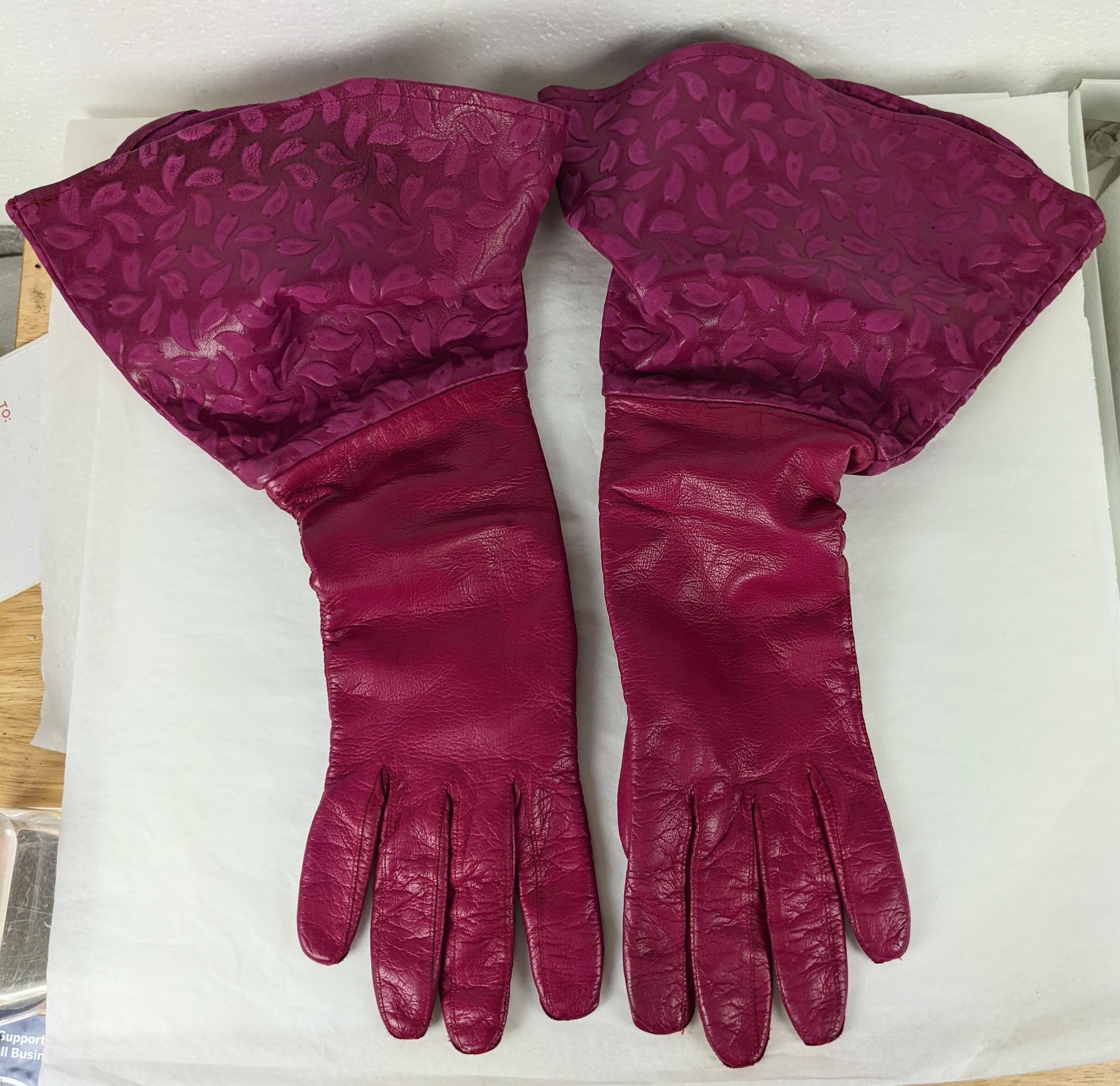 carolina amato gloves