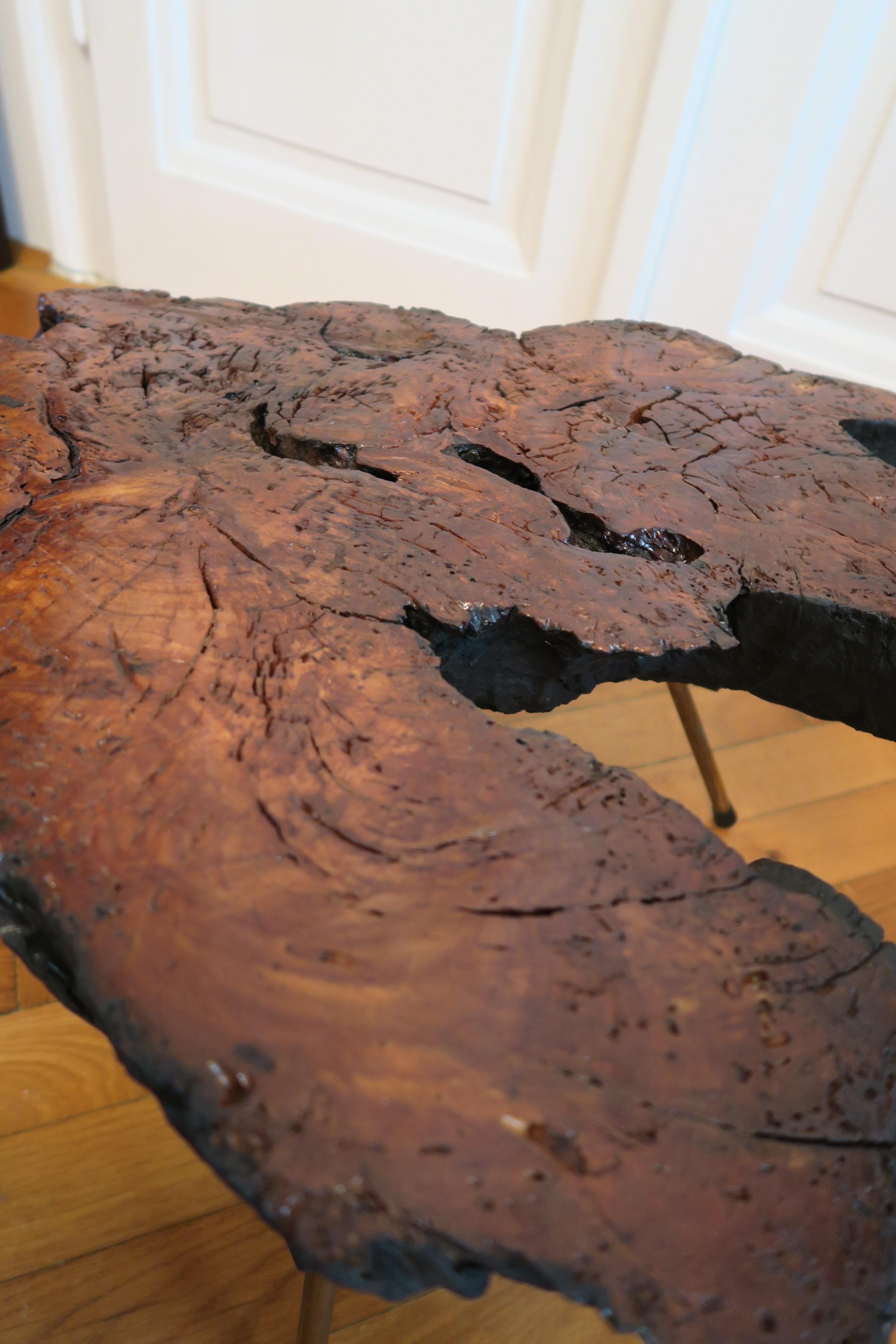 Hand-Crafted Extravagant Tree Trunk Side Table in the Style of Carl Auböck For Sale