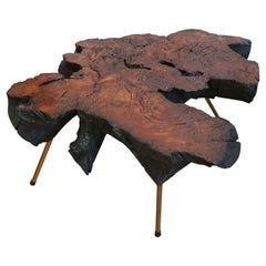 Extravagante table d'appoint en forme de tronc d'arbre dans le style de Carl Auböck