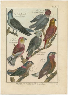 Gravure en cuivre de 7 perles extrêmement et magnifiquement colorée à la main, 1792