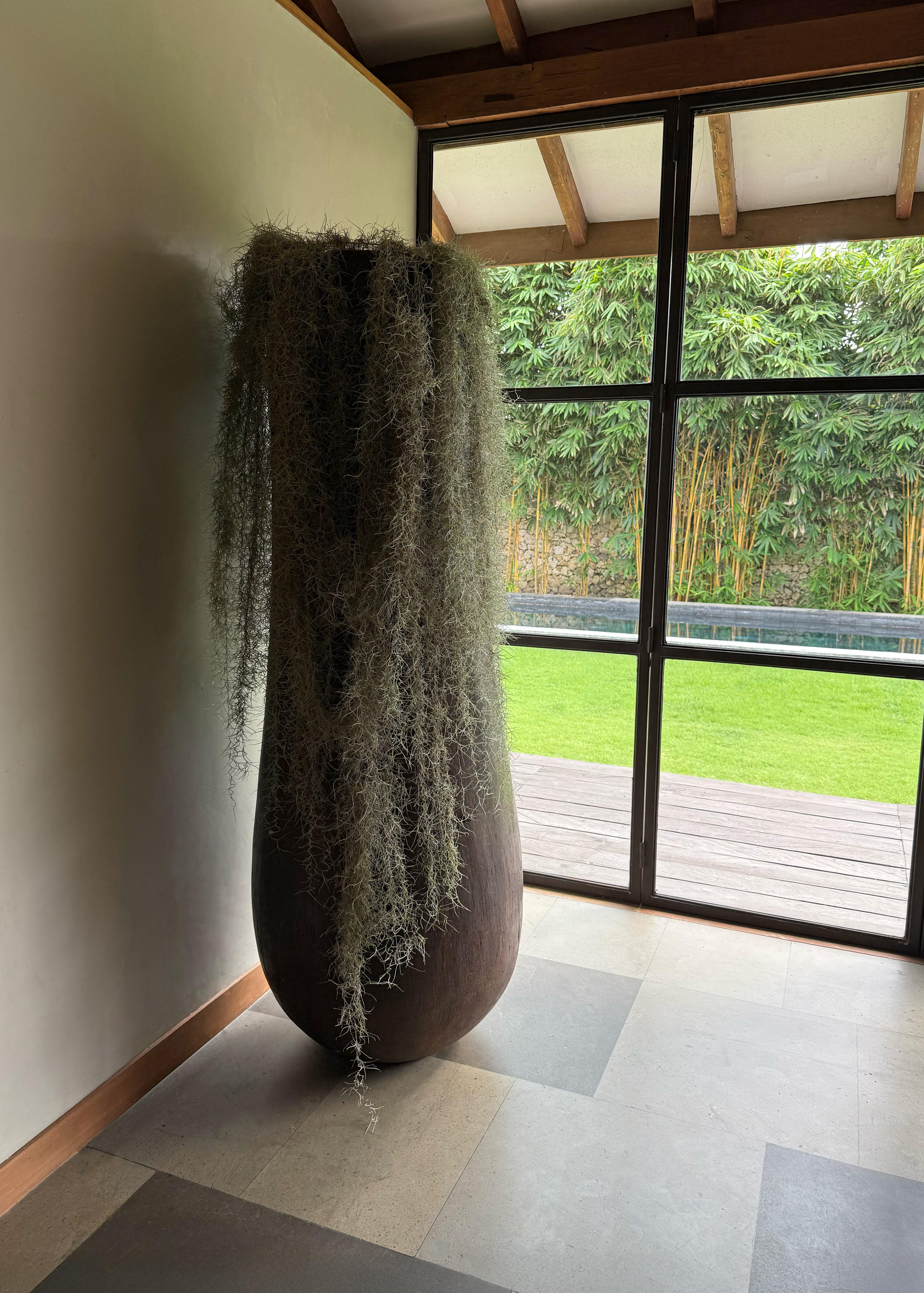 Eleganza con questa splendida fioriera in legno di palma molto grande, realizzata a mano per mostrare l'eleganza naturale e la ricca consistenza del legno di palma. La sua forma organica e le venature decise ne fanno un pezzo forte, che unisce senza