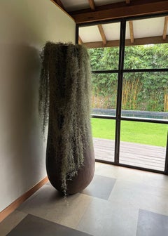 Fioriera scultorea in legno di palma estremamente grande, moderna e organica