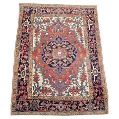 Extremely Rare 19th Century Baby Serapi rug (Collector Piece)