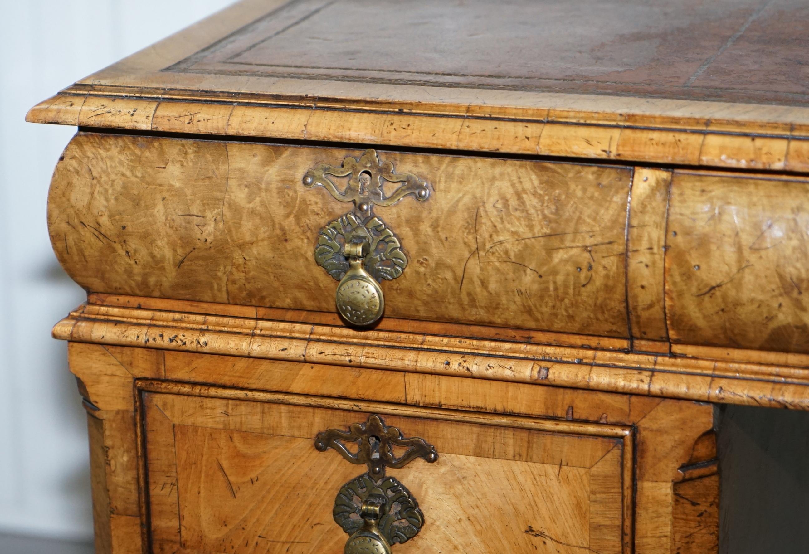 Extremely Rare circa 1815 Regency Solid Burr Walnut Cushion Drawer Pedestal Desk 4