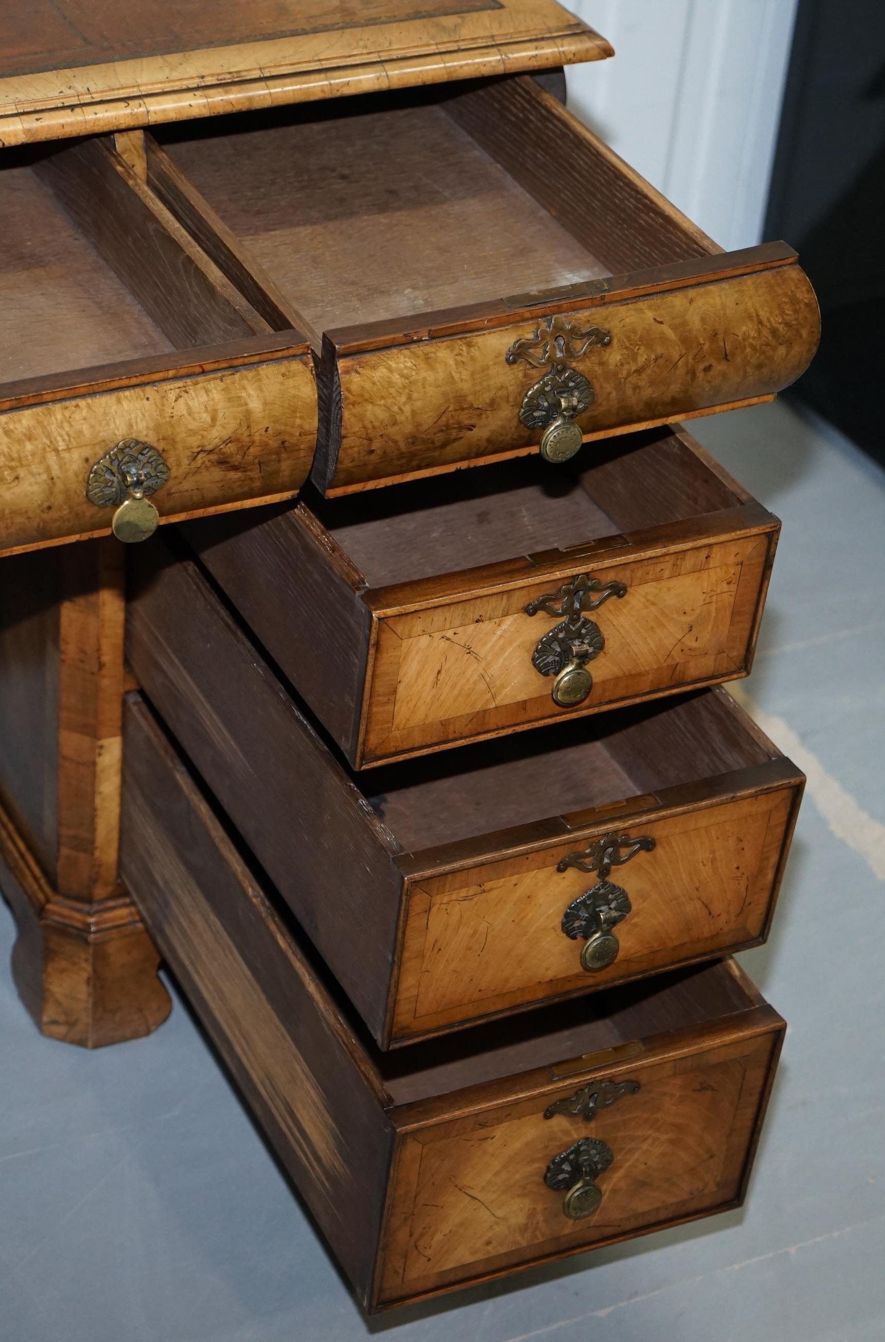 Extremely Rare circa 1815 Regency Solid Burr Walnut Cushion Drawer Pedestal Desk 12