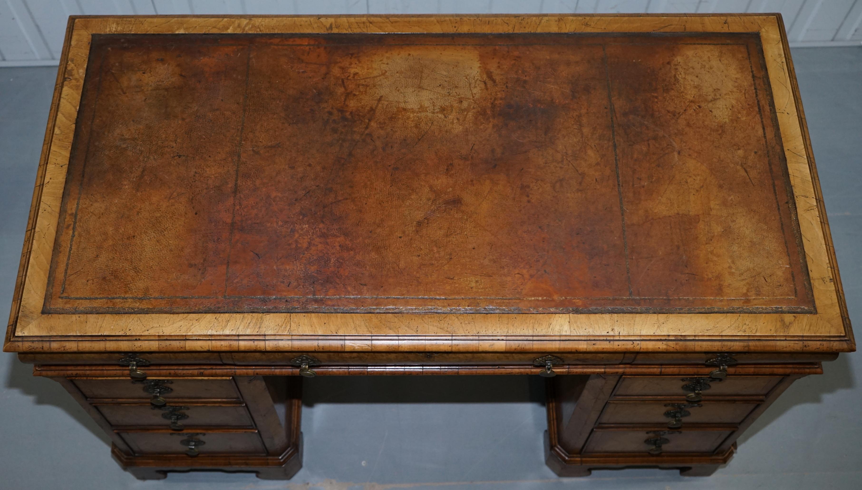 Hand-Crafted Extremely Rare circa 1815 Regency Solid Burr Walnut Cushion Drawer Pedestal Desk