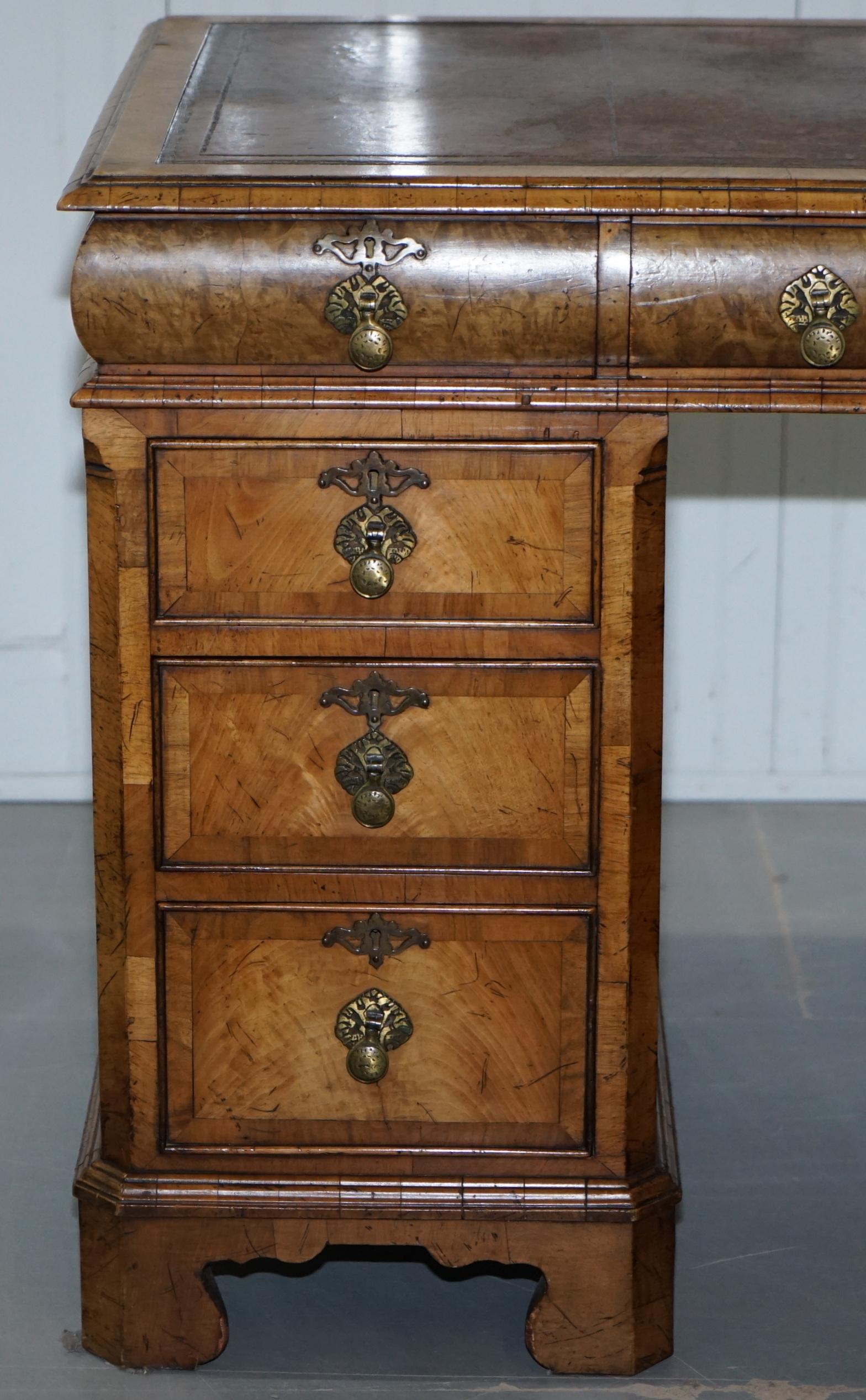 Extremely Rare circa 1815 Regency Solid Burr Walnut Cushion Drawer Pedestal Desk 1