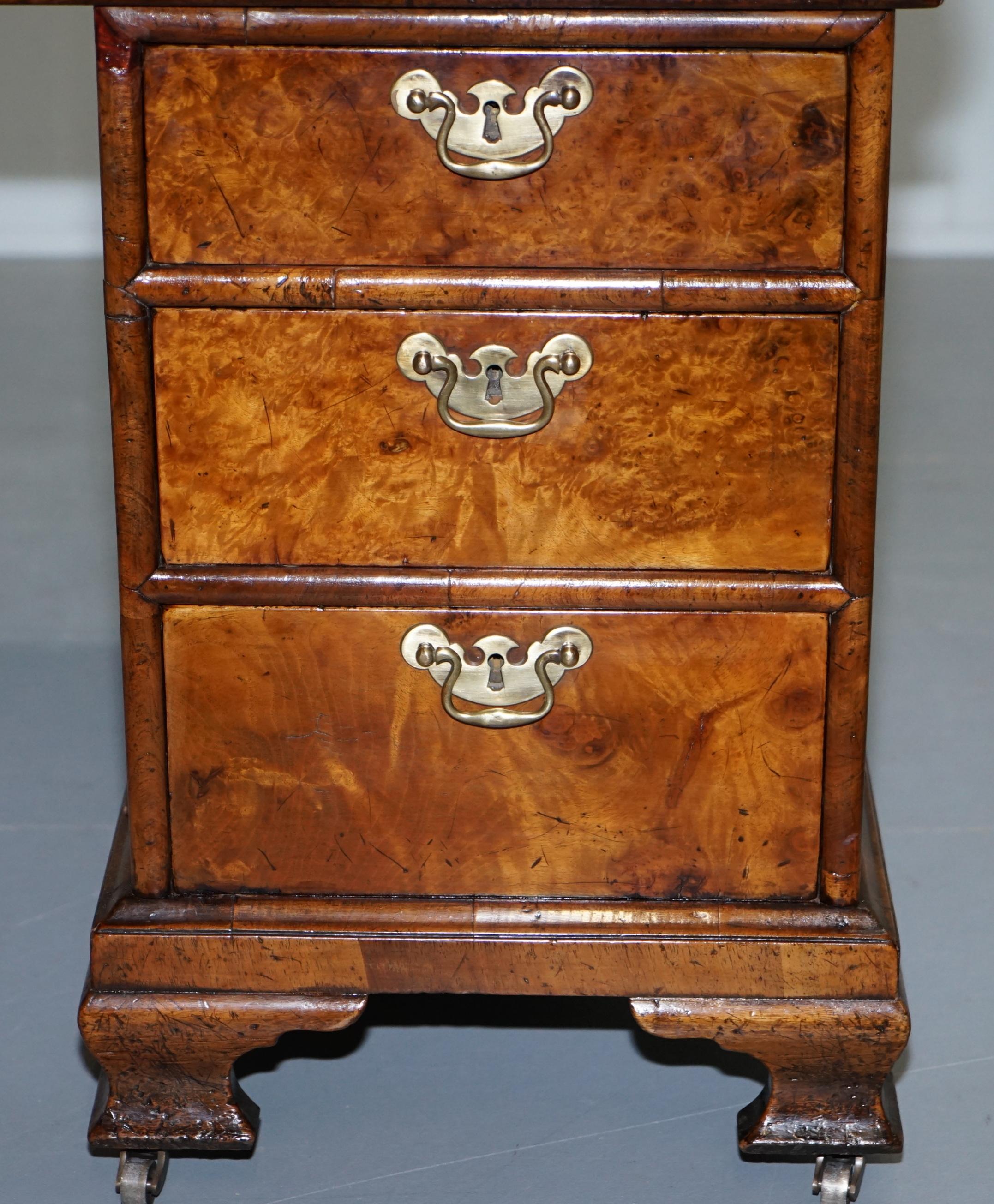 Extremely Rare Regency circa 1815 Solid Burr Walnut Curved Twin Pedestal Desk 5