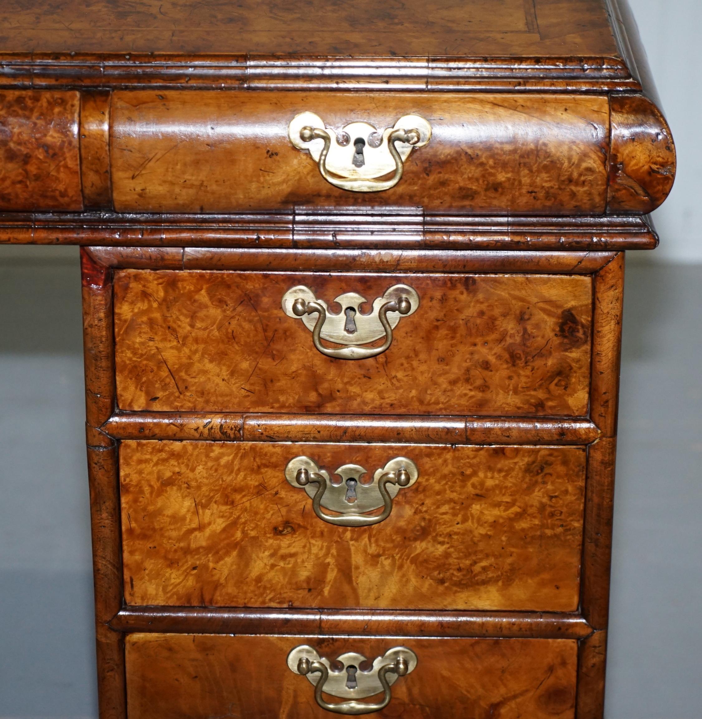 Extremely Rare Regency circa 1815 Solid Burr Walnut Curved Twin Pedestal Desk 3