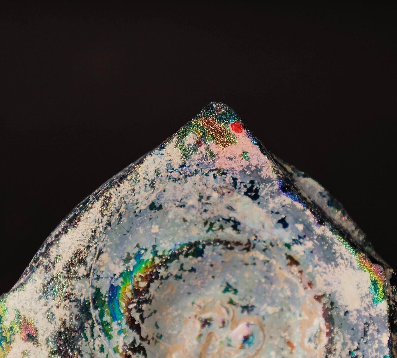 Äußerst seltenes römisches Glasfragment mit schillernder Patina - 1. bis 4. Jahrhundert AD (Italienisch) im Angebot