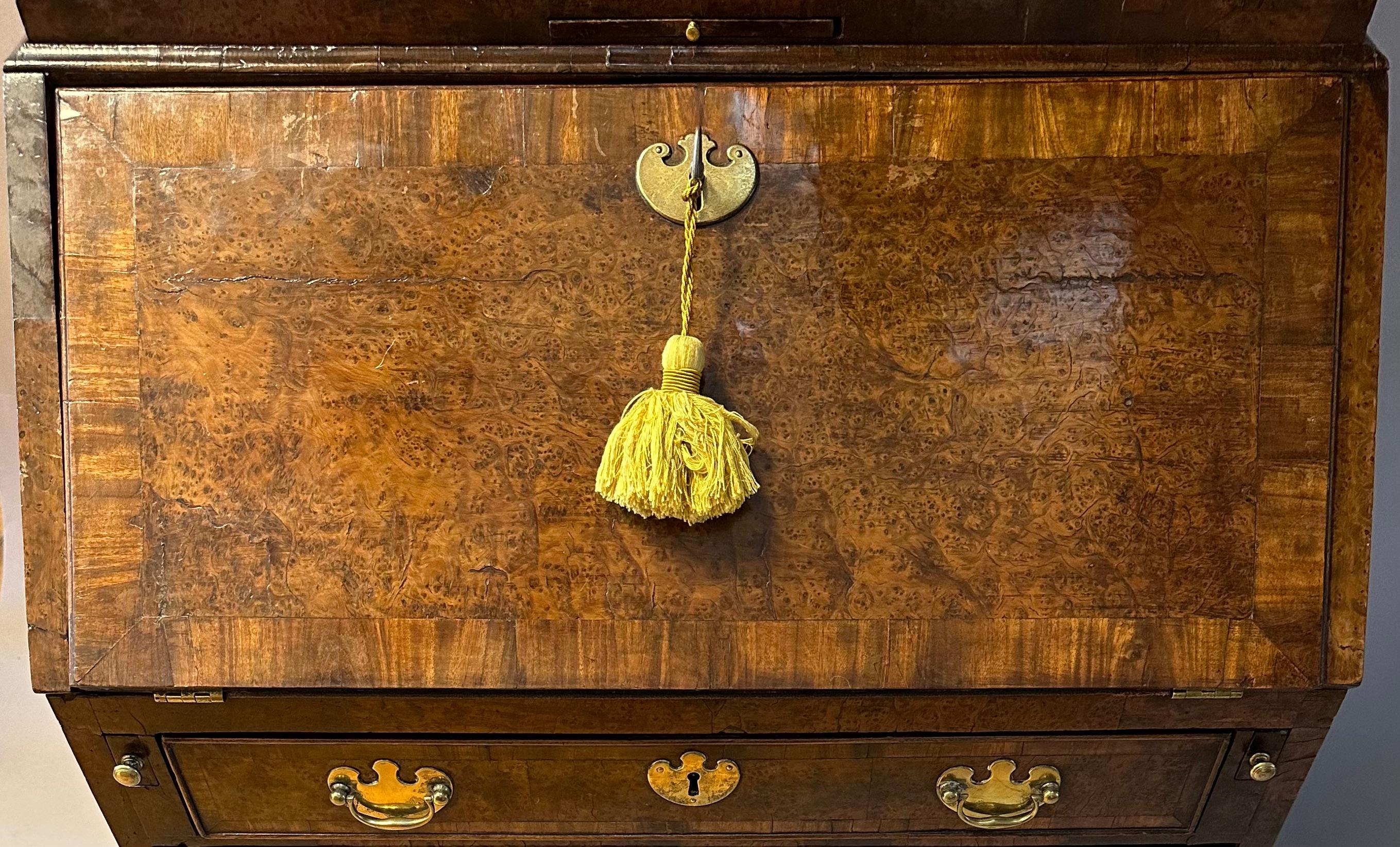 Äußerst seltenes kleines englisches Bureau-Bücherregal aus gemasertem Eibenholz aus dem frühen 18. Jahrhundert im Angebot 6