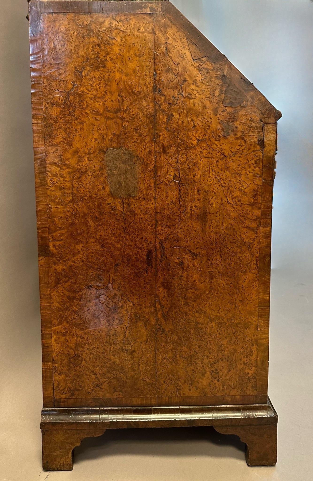 Äußerst seltenes kleines englisches Bureau-Bücherregal aus gemasertem Eibenholz aus dem frühen 18. Jahrhundert (Messing) im Angebot