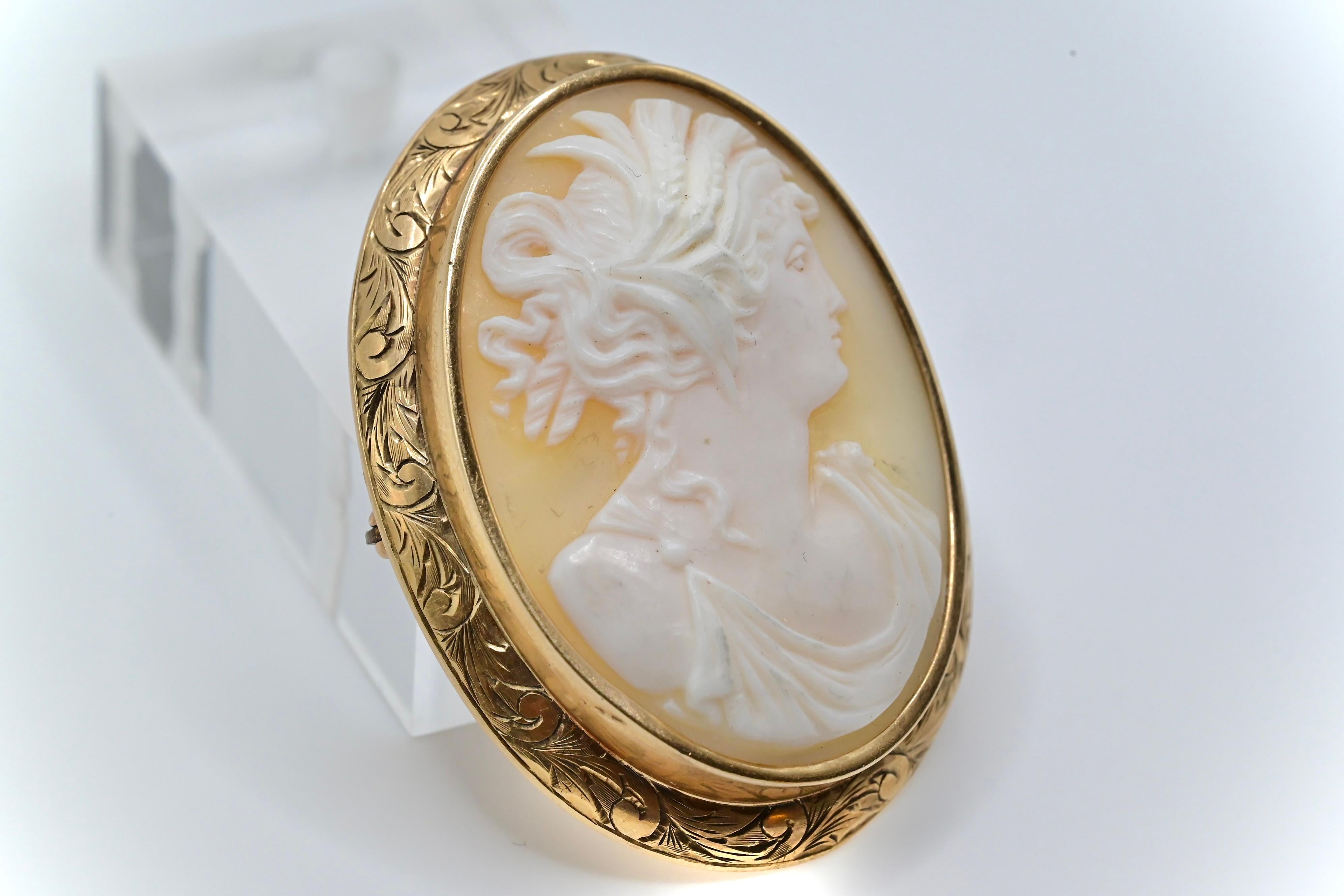 Eye Catching Carved Shell Gold Cameo Brooch In Good Condition In Media, PA