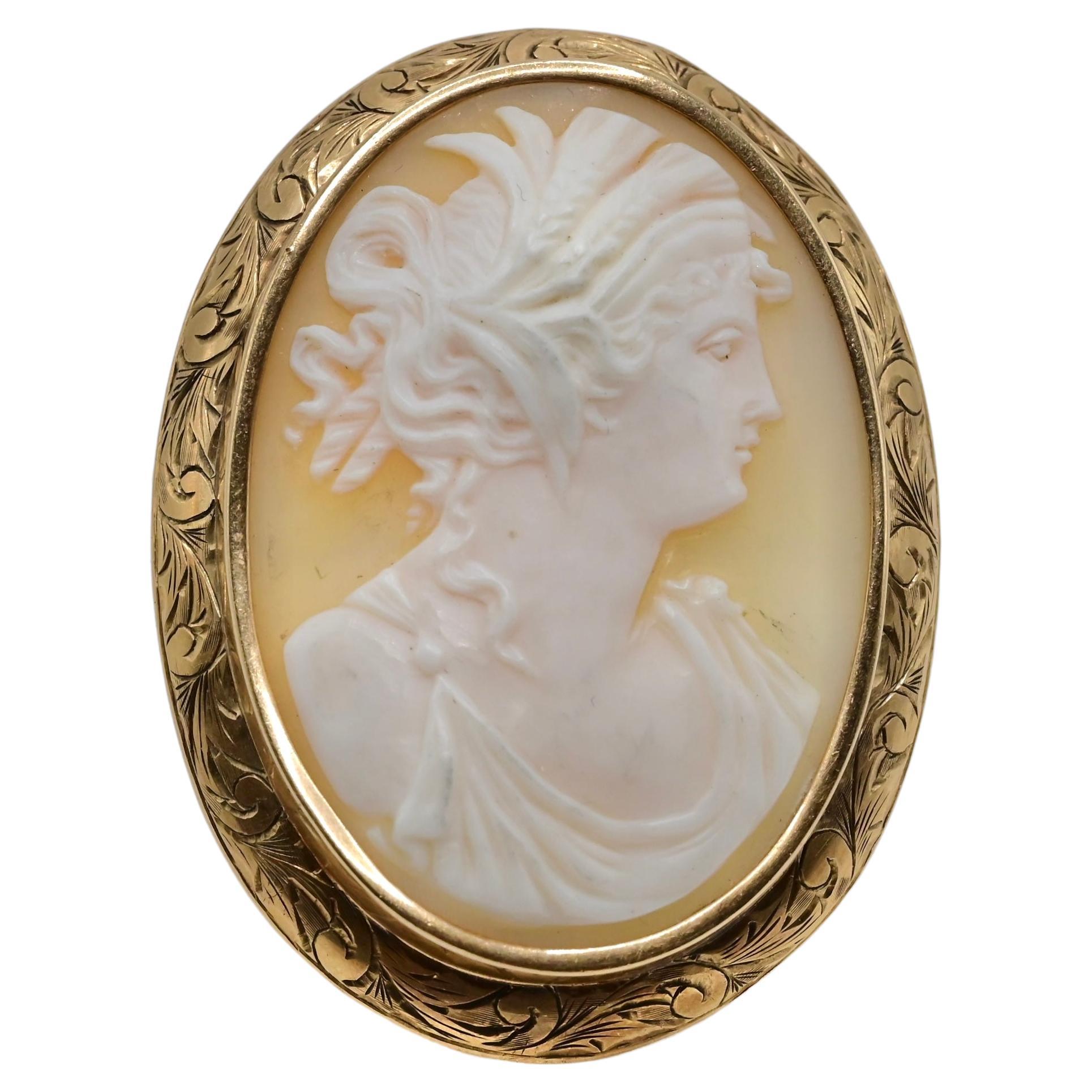 Eye Catching Carved Shell Gold Cameo Brooch