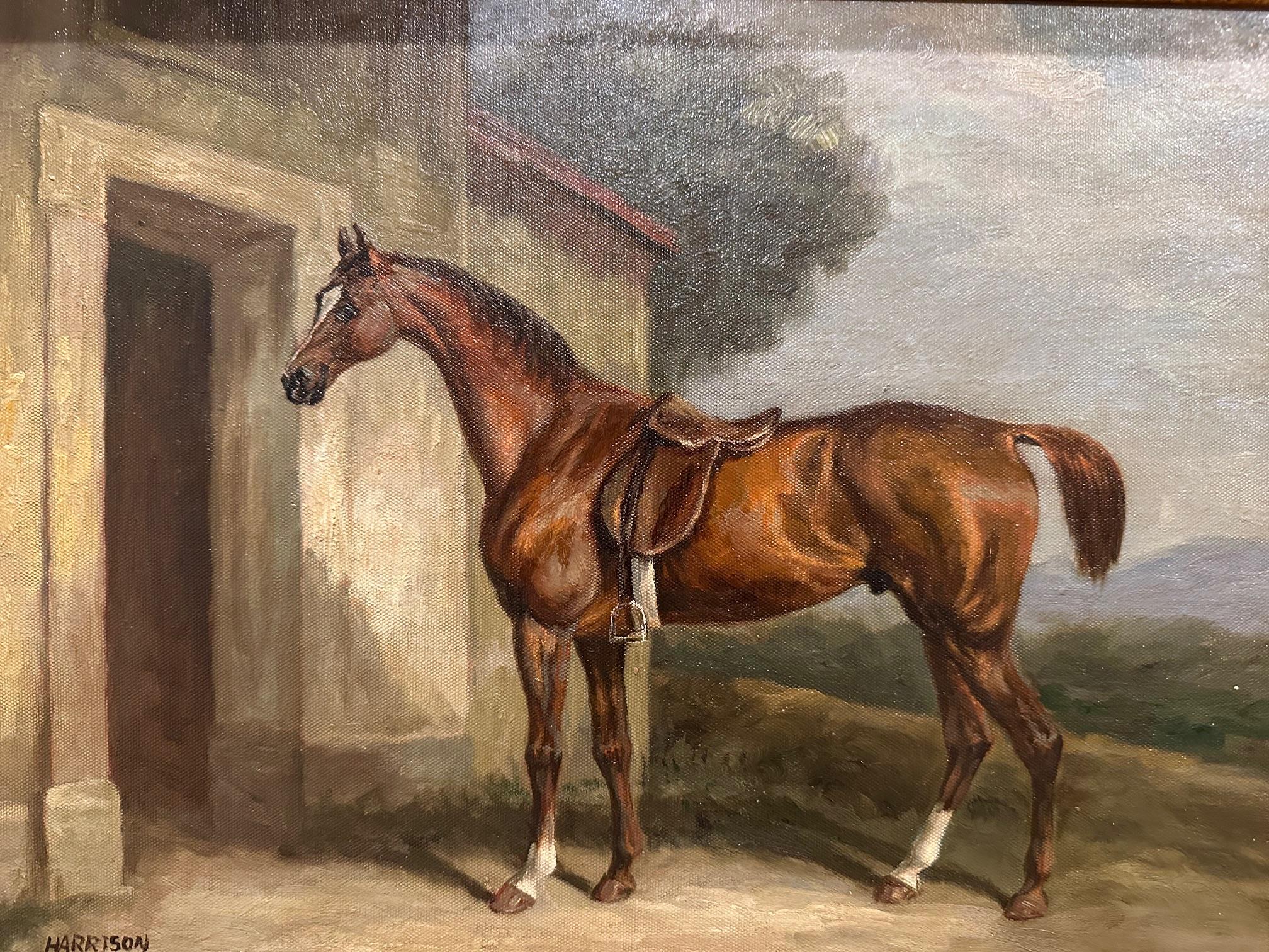 Portrait classique d'un brillant cheval pur-sang, encadré dans une moulure en bois doré.  Signé en bas à droite, Harrison.

Huile sur toile
Toile 12