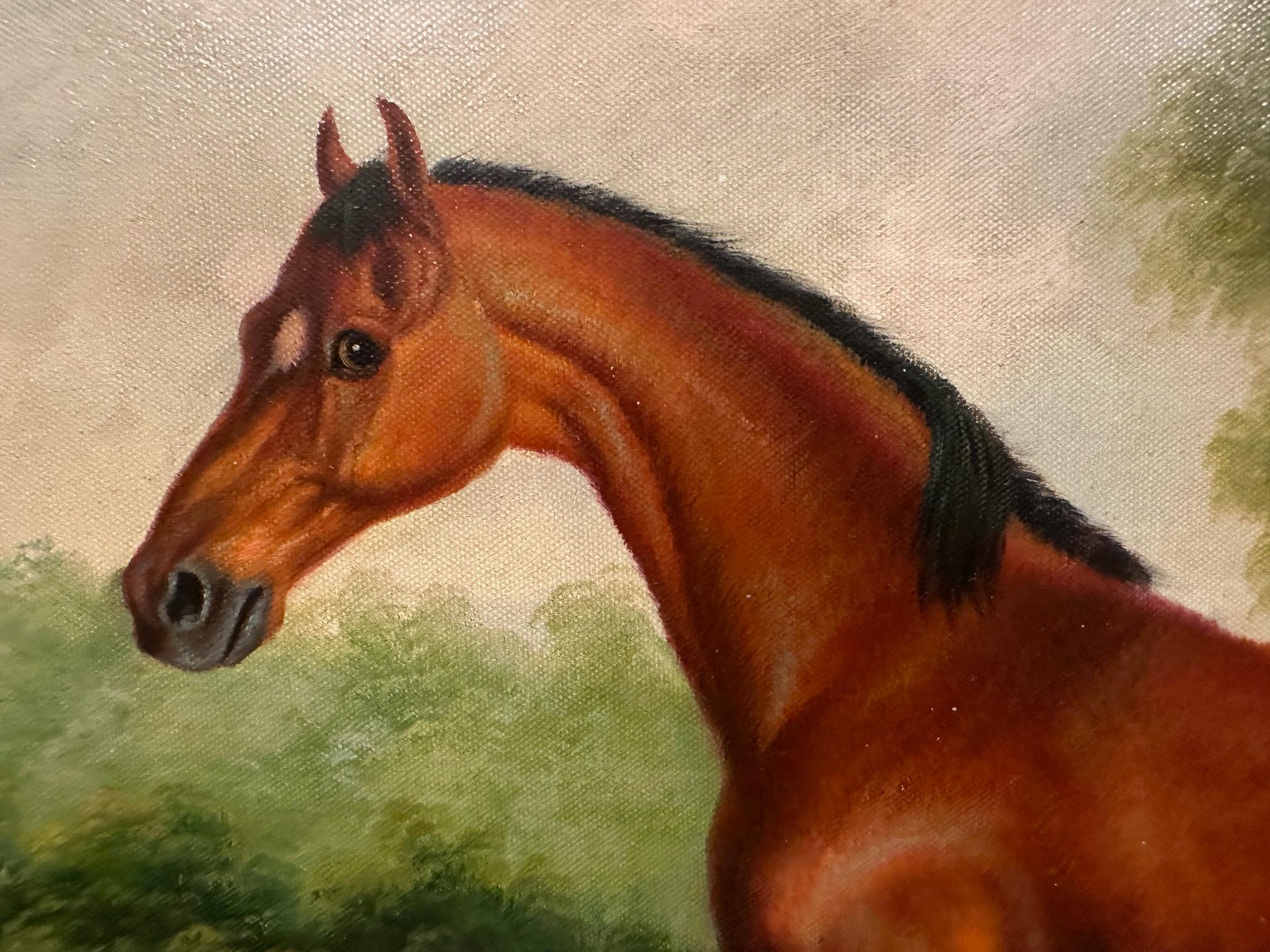 Glistening original oil on canvas of a thoroughbred horse in a handsome frame.
Unsigned
Canvas 20” H x 24” W